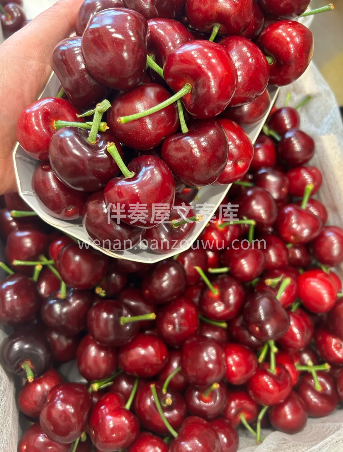 应季爆款🔥 🔥 饱满爆汁的车厘子🍒 ，水 配图2
