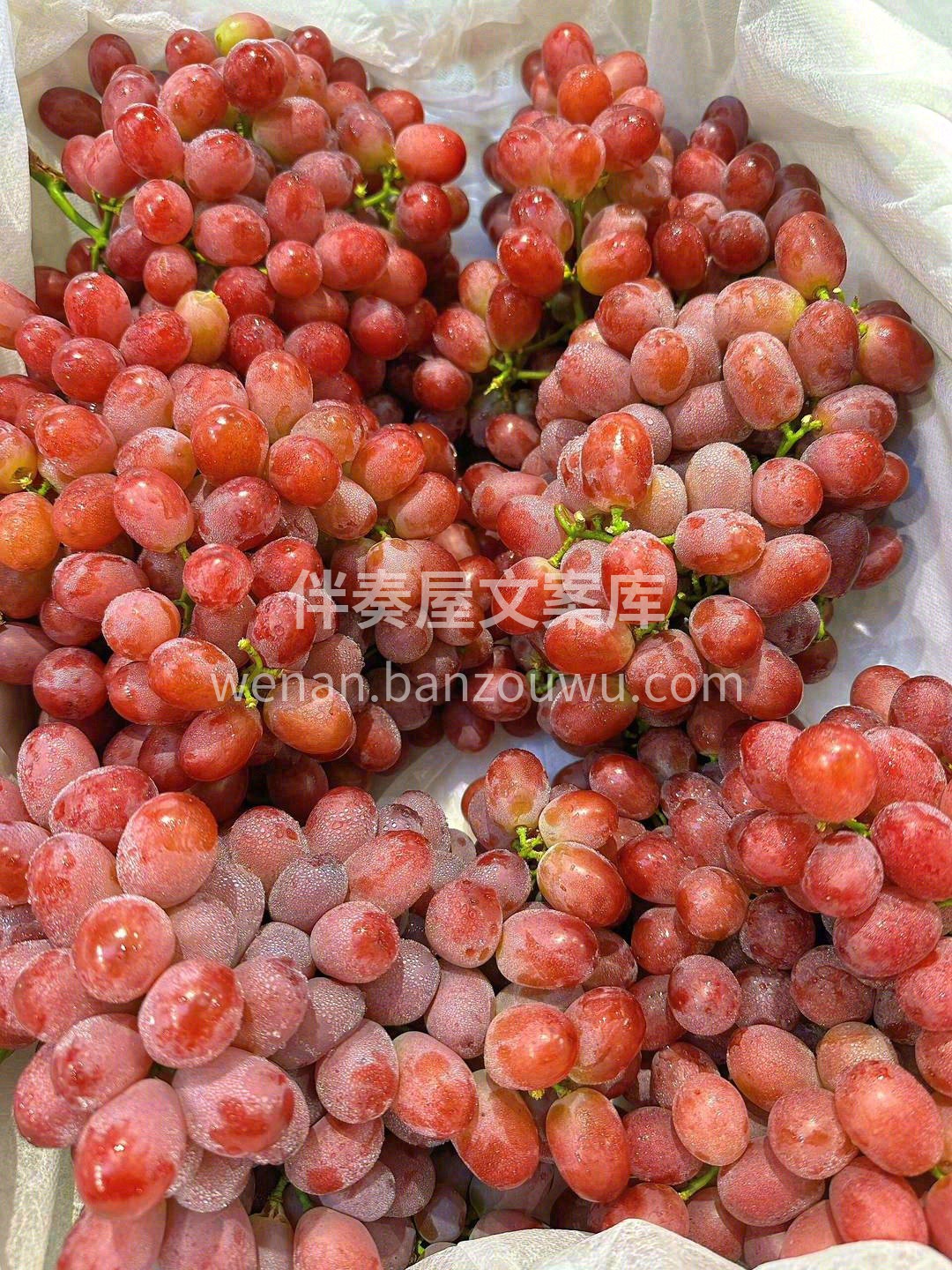 ✅水果就要吃新鲜的、健康的‼️ 克伦生无 配图1