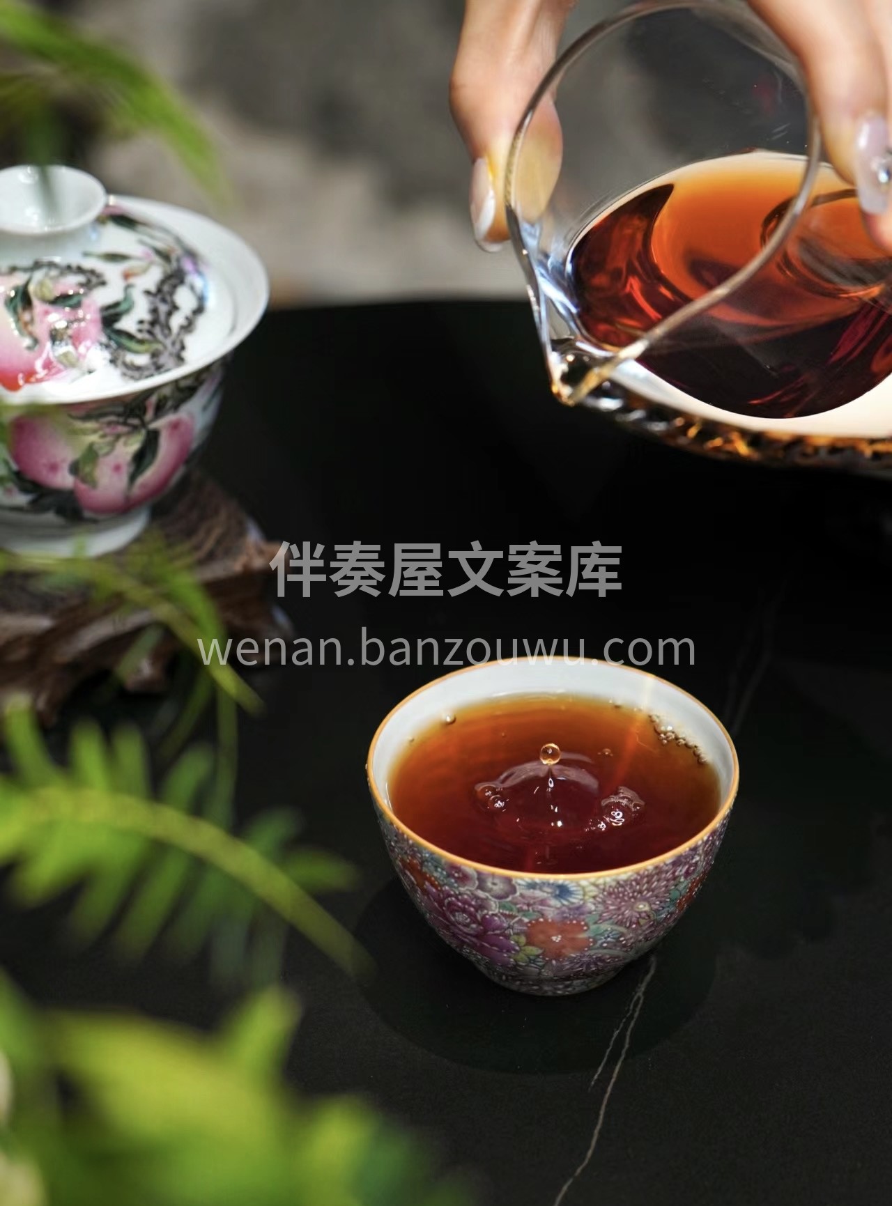 茶叶卖疯啦！😱最后一批，手慢无！🎉 🍵  配图1