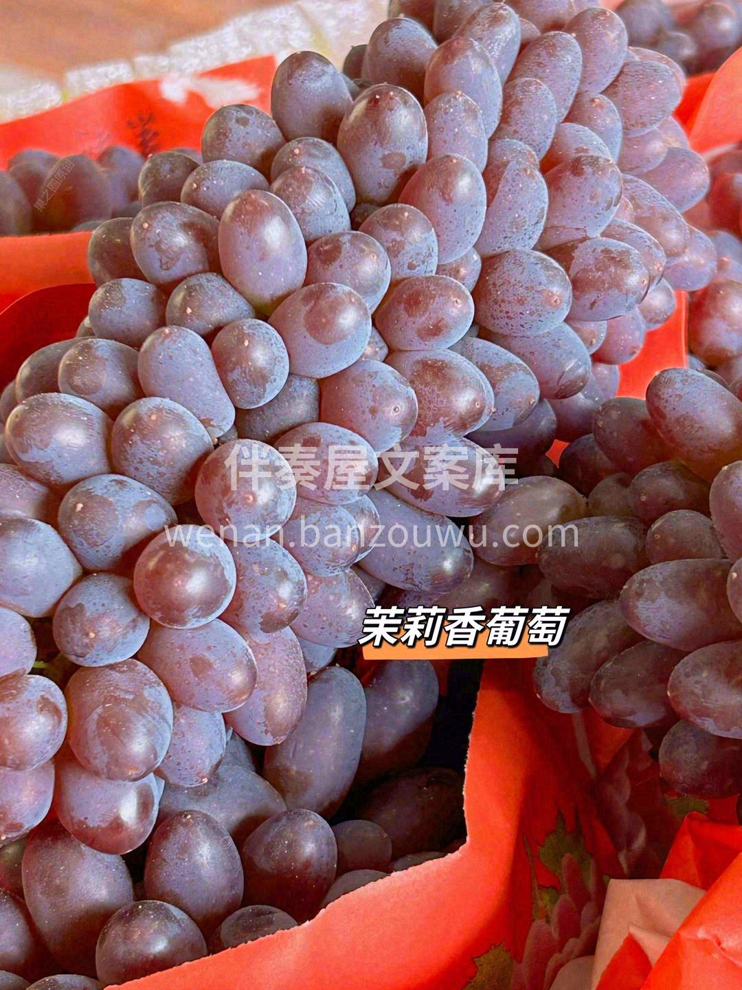 🌿天生的高贵气质，让人赏心悦目🍇 在这个 配图2