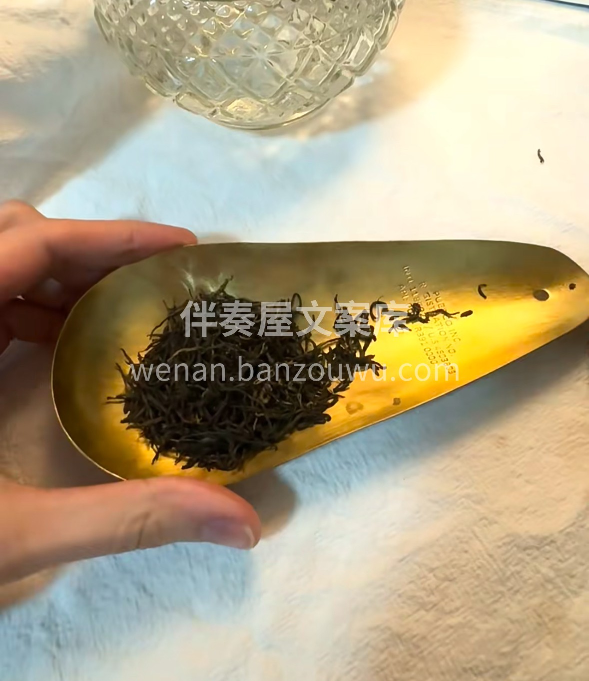 杯中条索如金梭，遇水舒展成春日。祁门金针 配图1