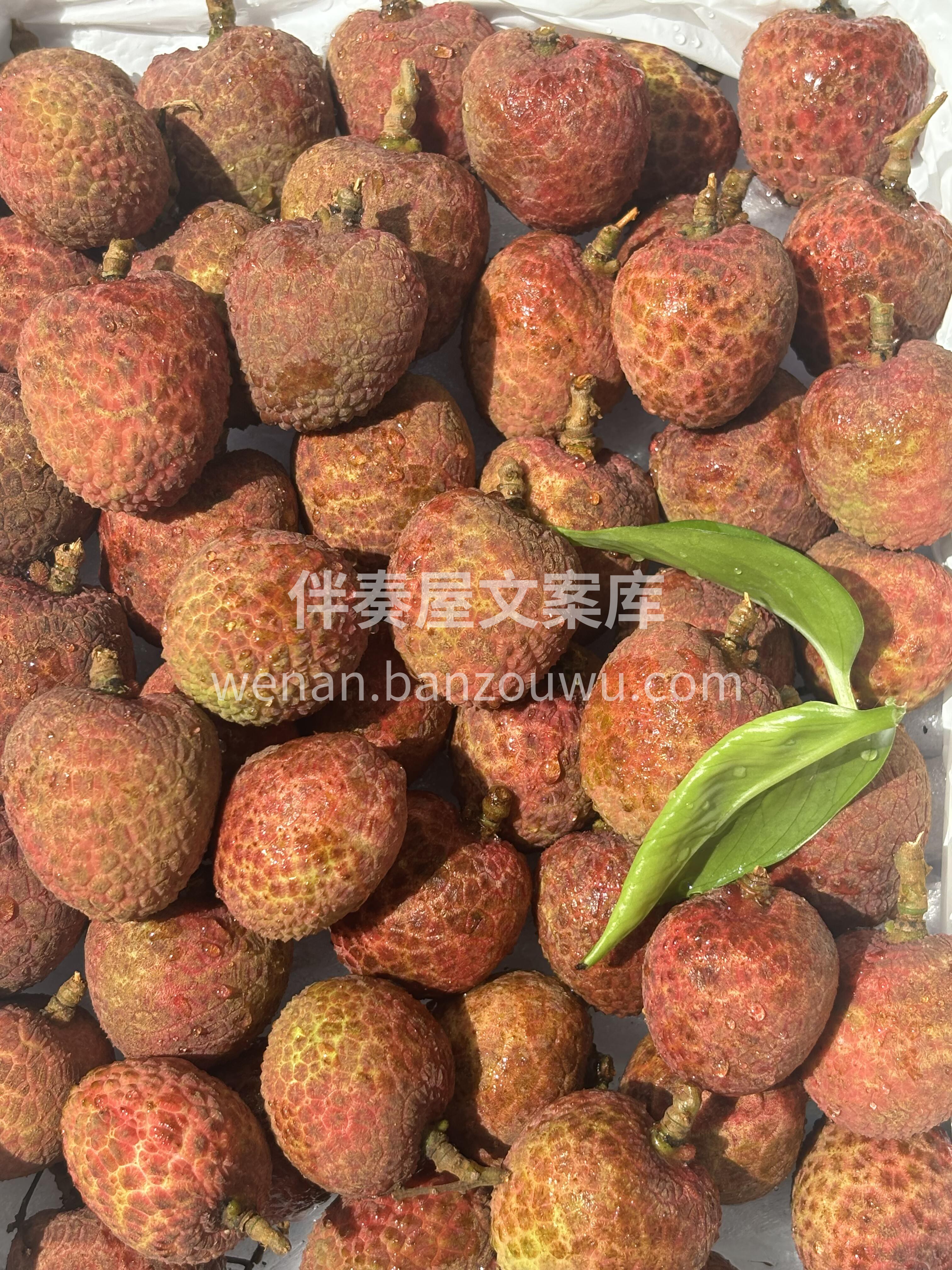 果肉如羊脂般，宛若凝脂🤍白嫩像个奶味果冻 配图3
