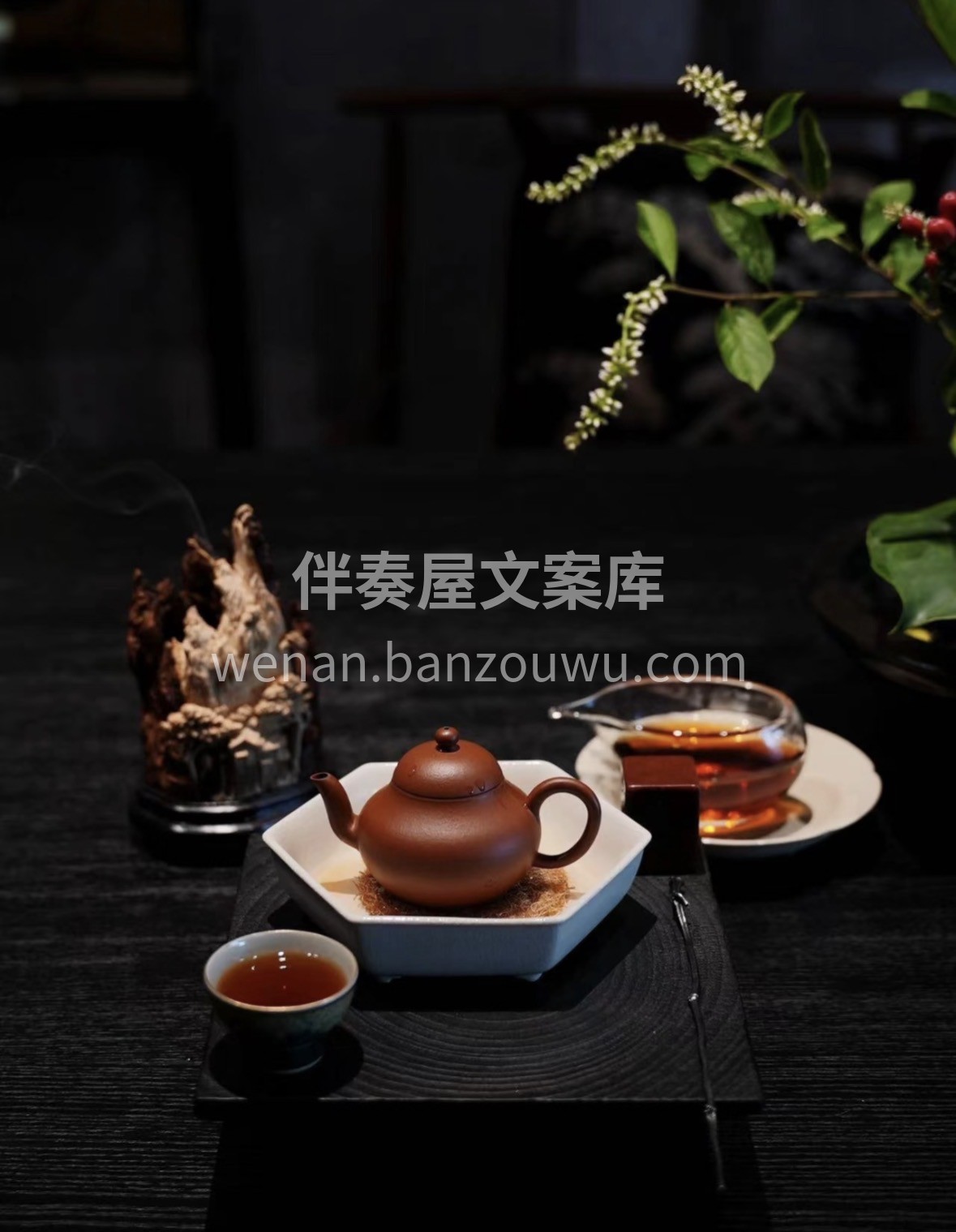 新春年货囤六堡茶正当时✨现在下单即可提前 配图3