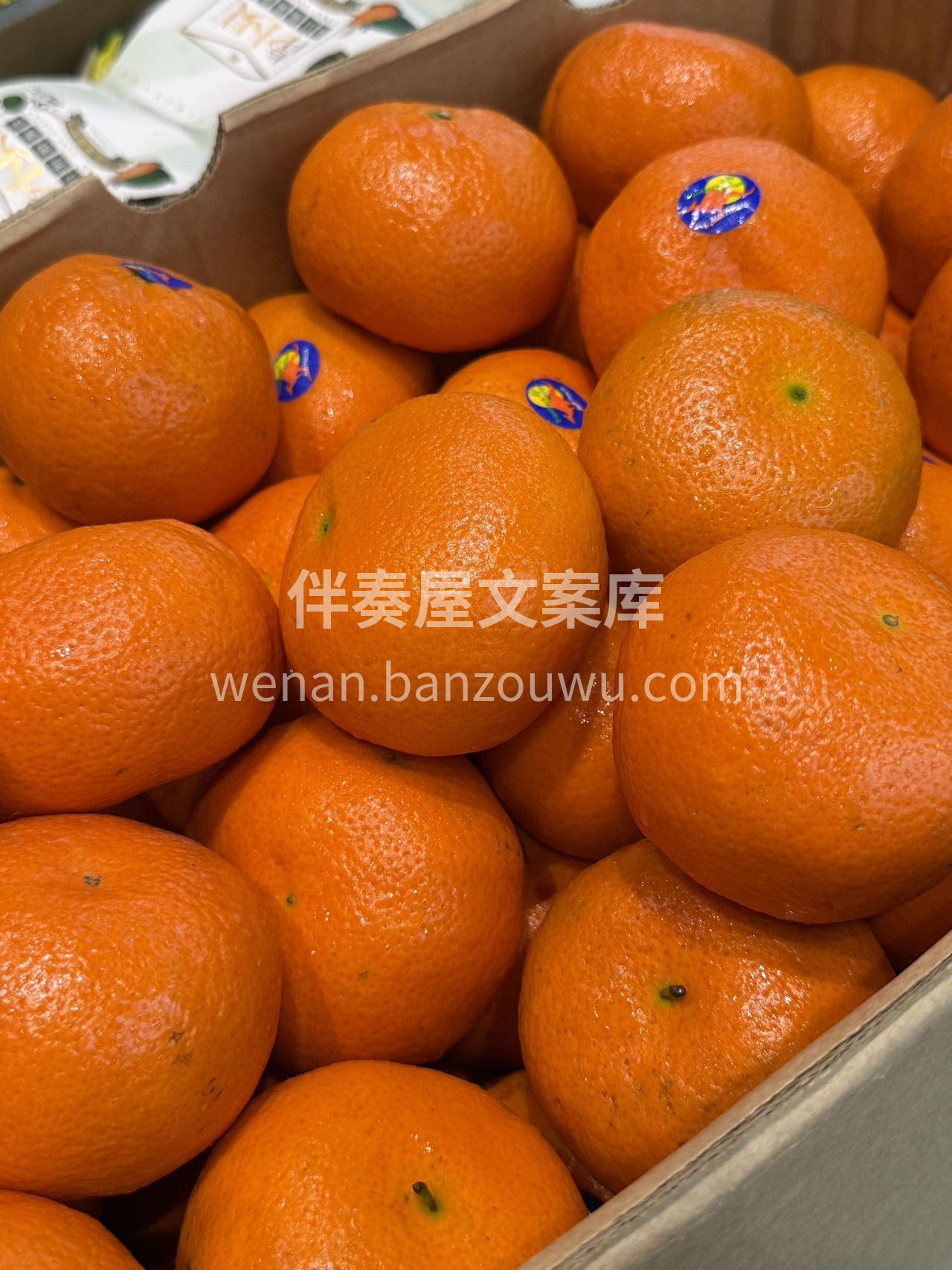 🌈 🍊VC爆棚💦 【澳洲🇦🇺蜜柑】，当季 配图3