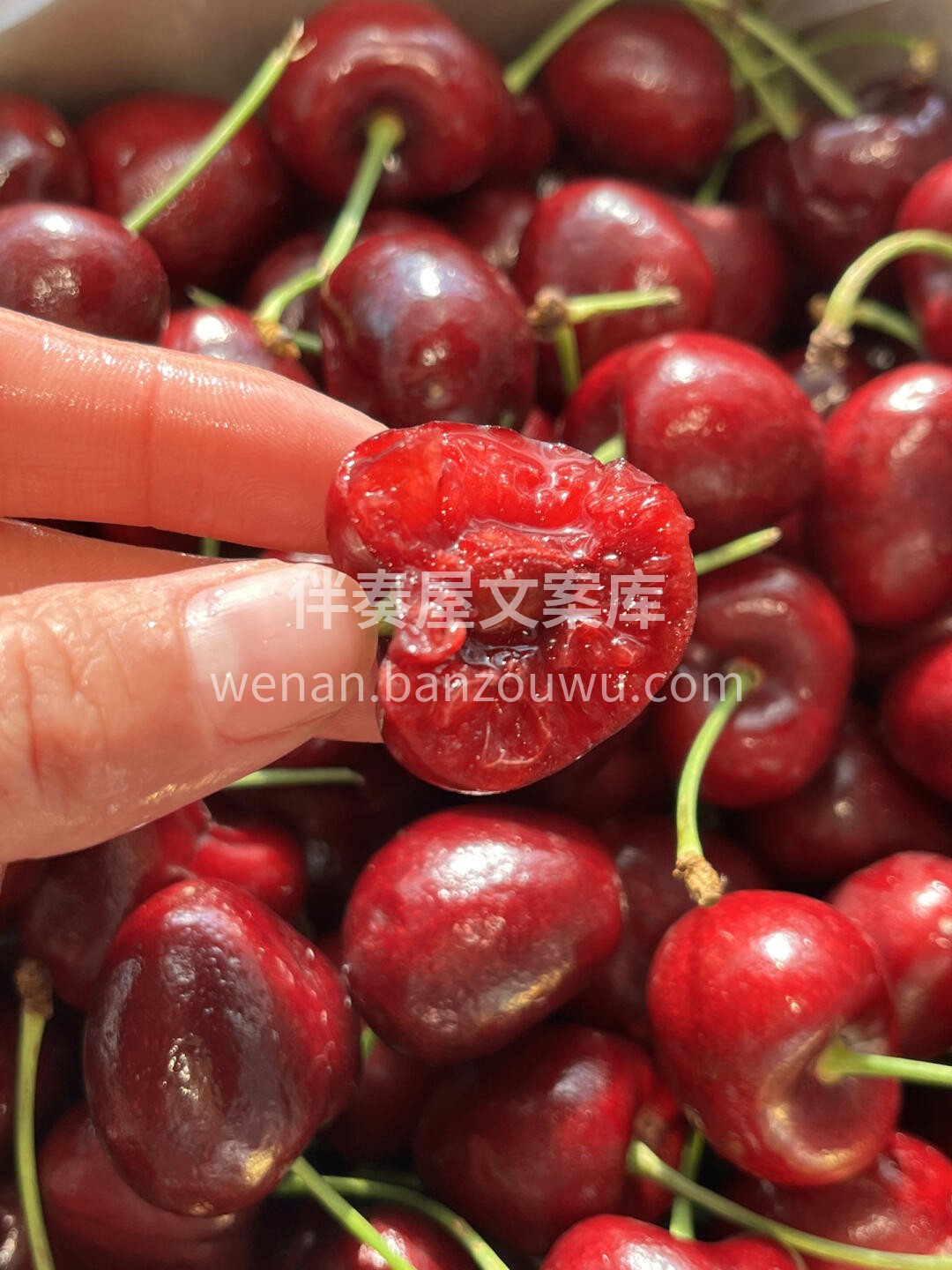 冬天第一颗车厘子的寓意🌸： 你是最珍贵的 配图1