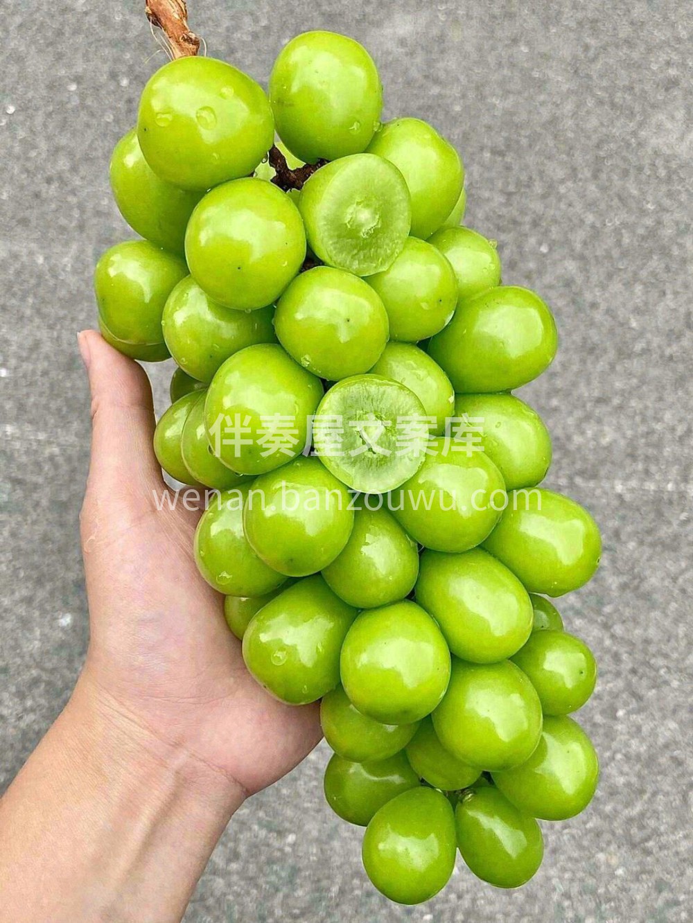 👆能在葡萄界一骑绝尘，光靠美貌是不够的‼ 配图1