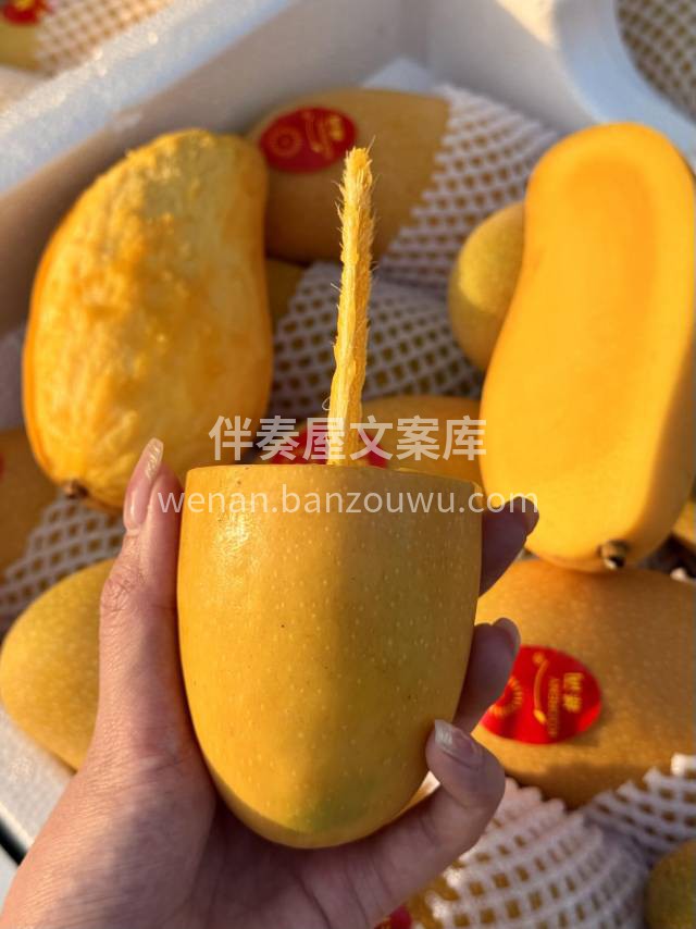 🌿水仙芒新货到🙋🏻‍♂️ 这个季节不吃🥭 配图2