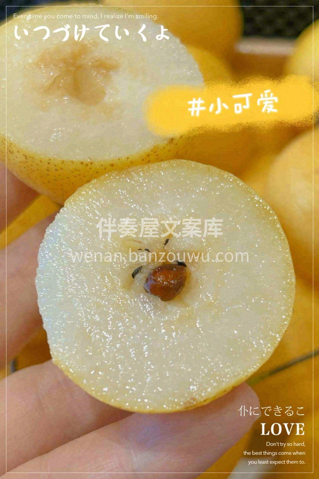 南果梨，辽宁鞍山特产🍁！ 秋天必须​在特 配图2