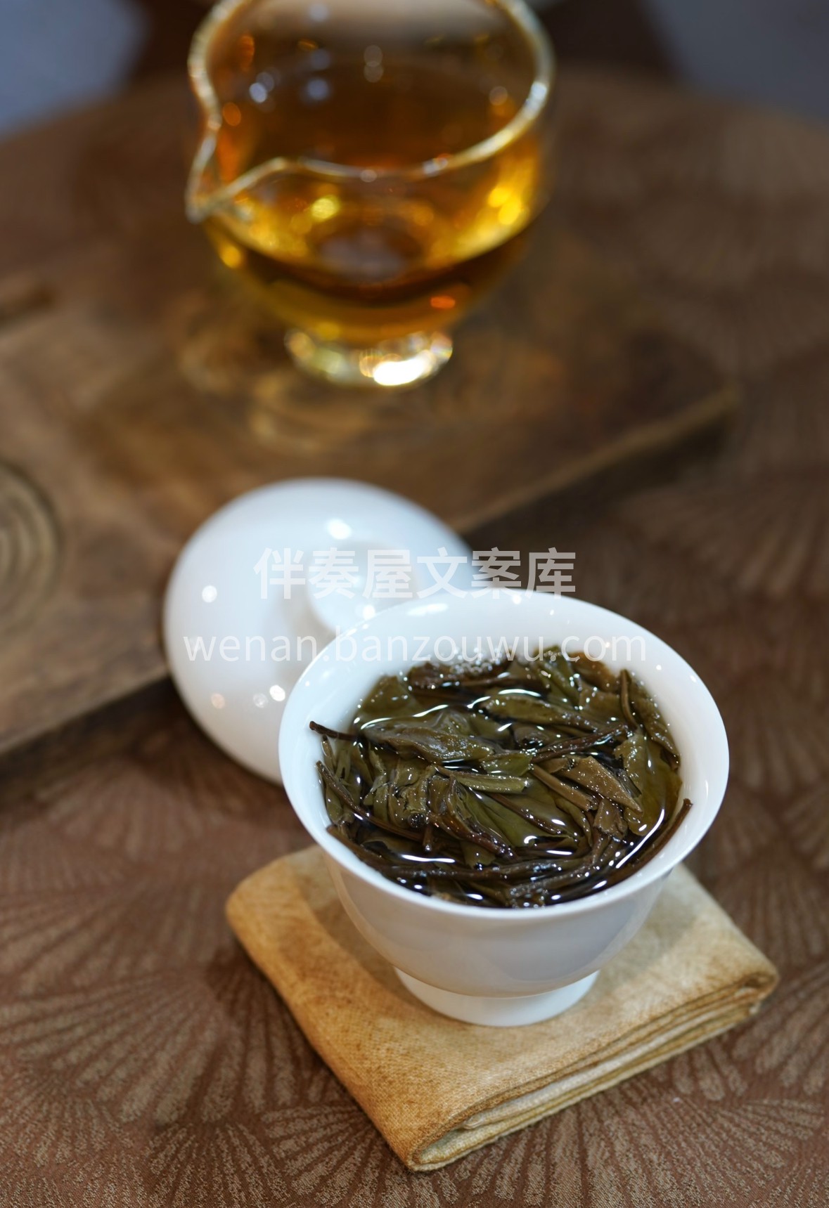 寿眉不似春茶张扬，却藏着老白茶独有的风骨 配图2