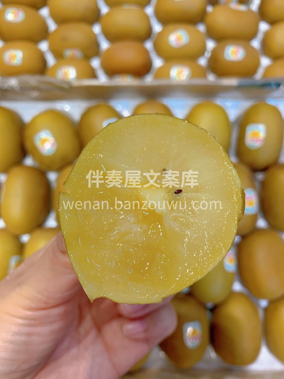 🥝《新西兰佳沛金果》〰️水果中的营养大百 配图1