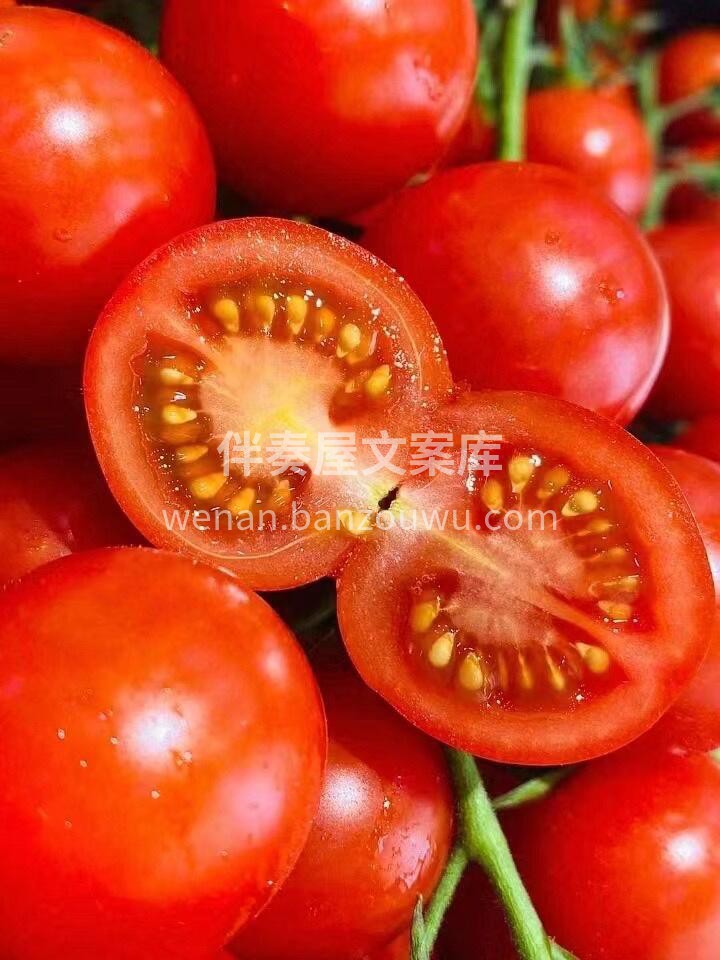 🍅『水果番茄』果皮薄而紧绷🍭酸甜之间二八 配图2