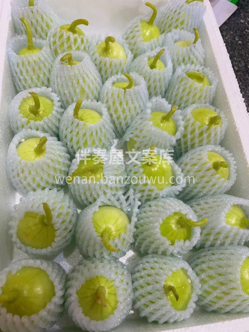 🍃🍃清新脱俗的玉女黄瓜🥒矮矮胖胖的很可爱 配图3