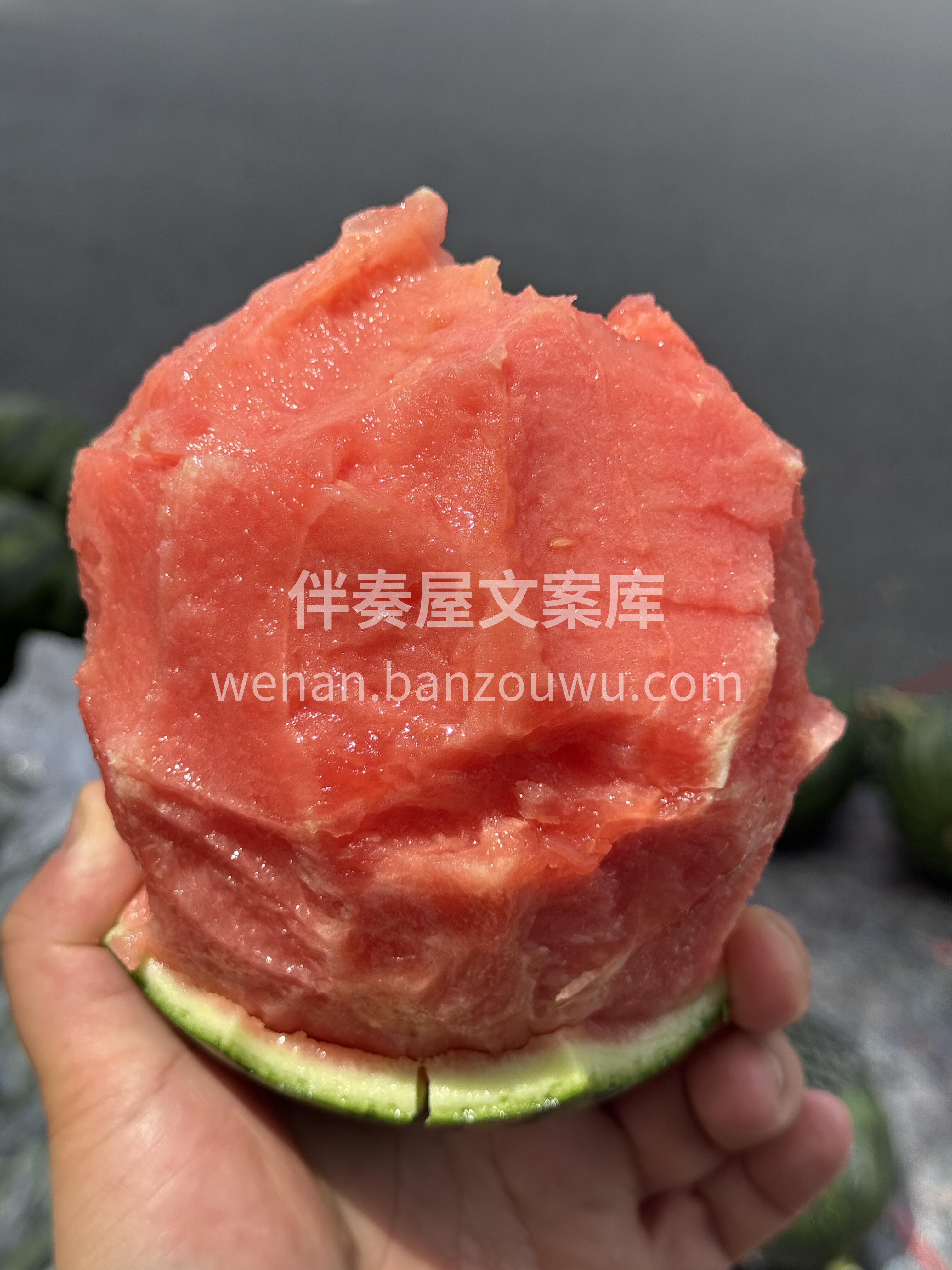 🔥小糖丸西瓜到货！ 个头小巧皮薄如纸🍉  配图2