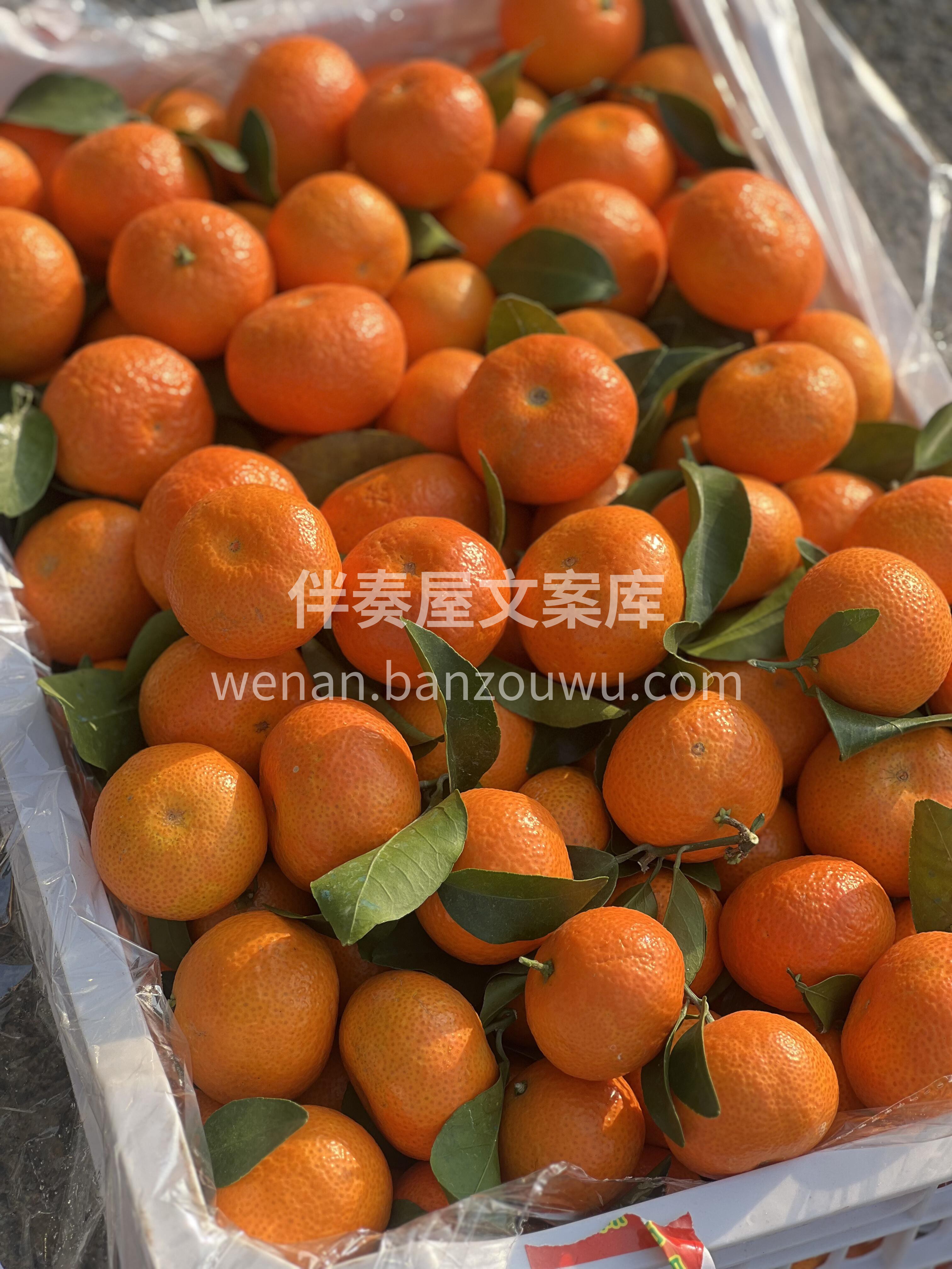 你的每日维C充电站已上线🈺 早晨来份鲜切 配图3