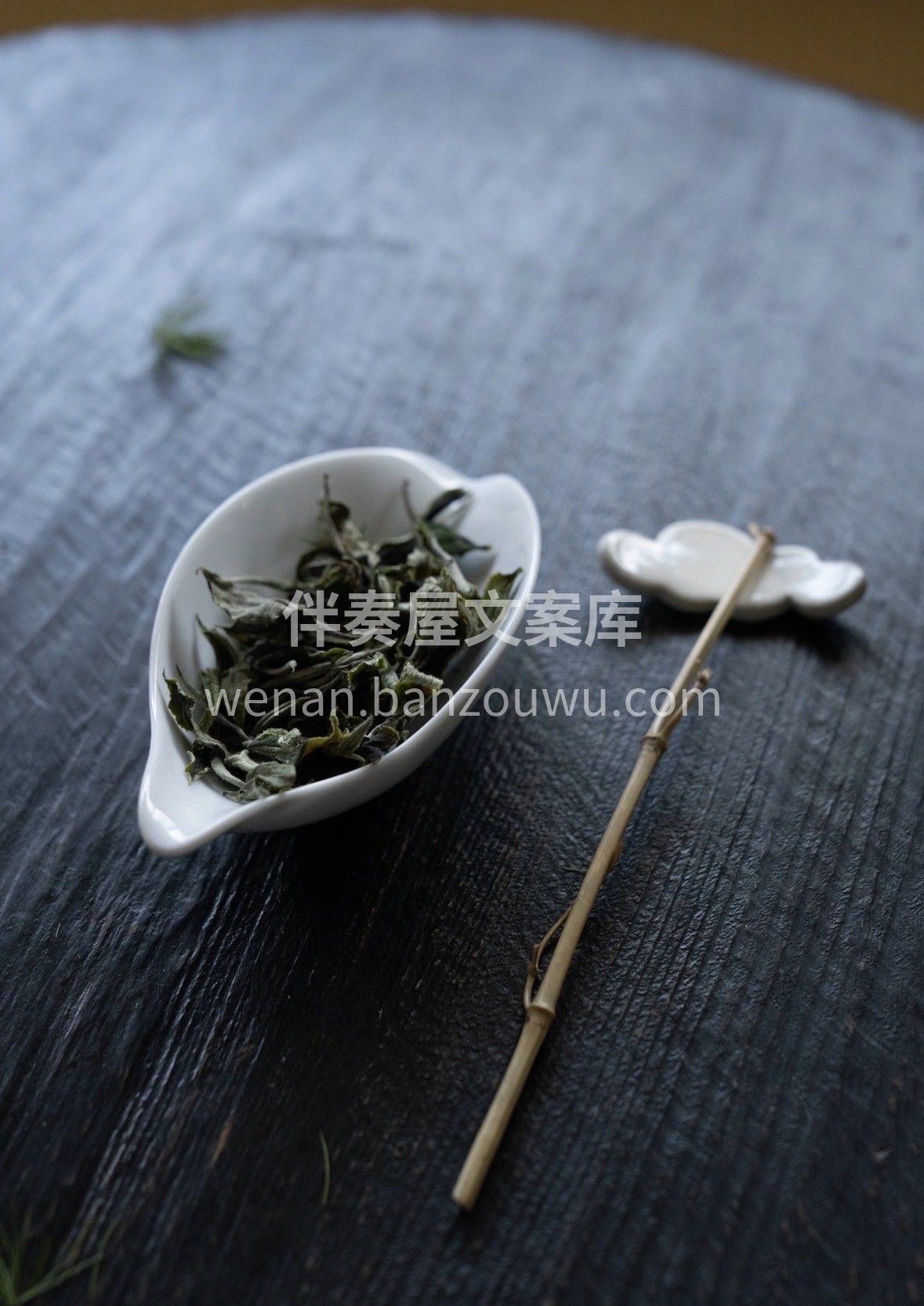 新春茶礼｜云南白茶🎁 采山野生态韵，泡一 配图1