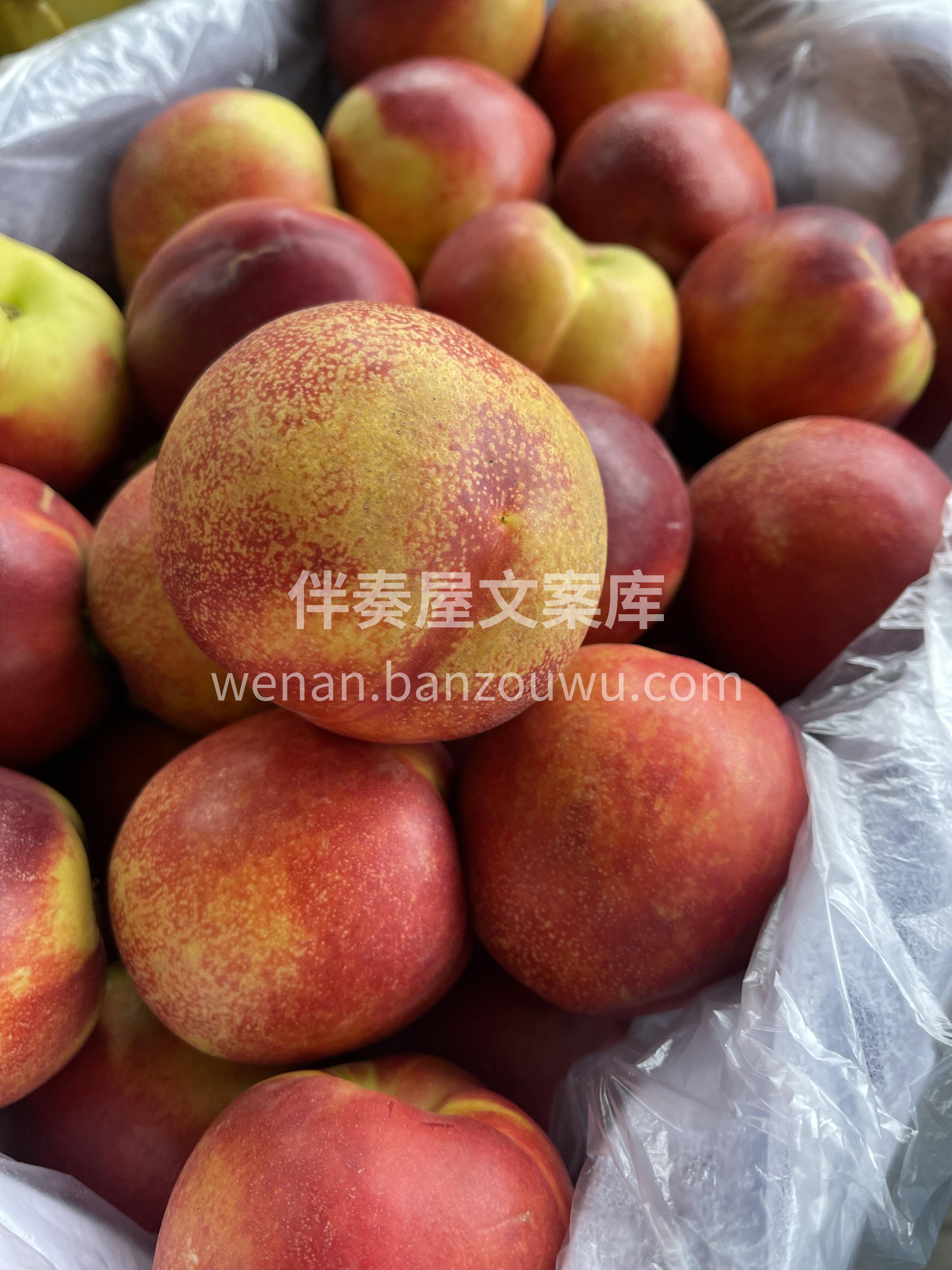 🔥爆款红油桃🍑 红艳、温润如油画一般~“ 配图1