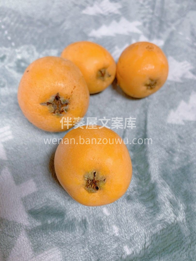 枇杷有它自己的“看家本领”👍 皮薄肉厚多 配图3