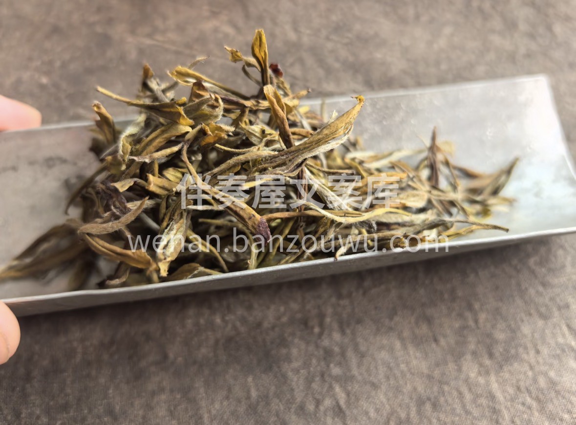 春风入盏，新茶上市。 蒙顶黄小茶，头春采 配图1