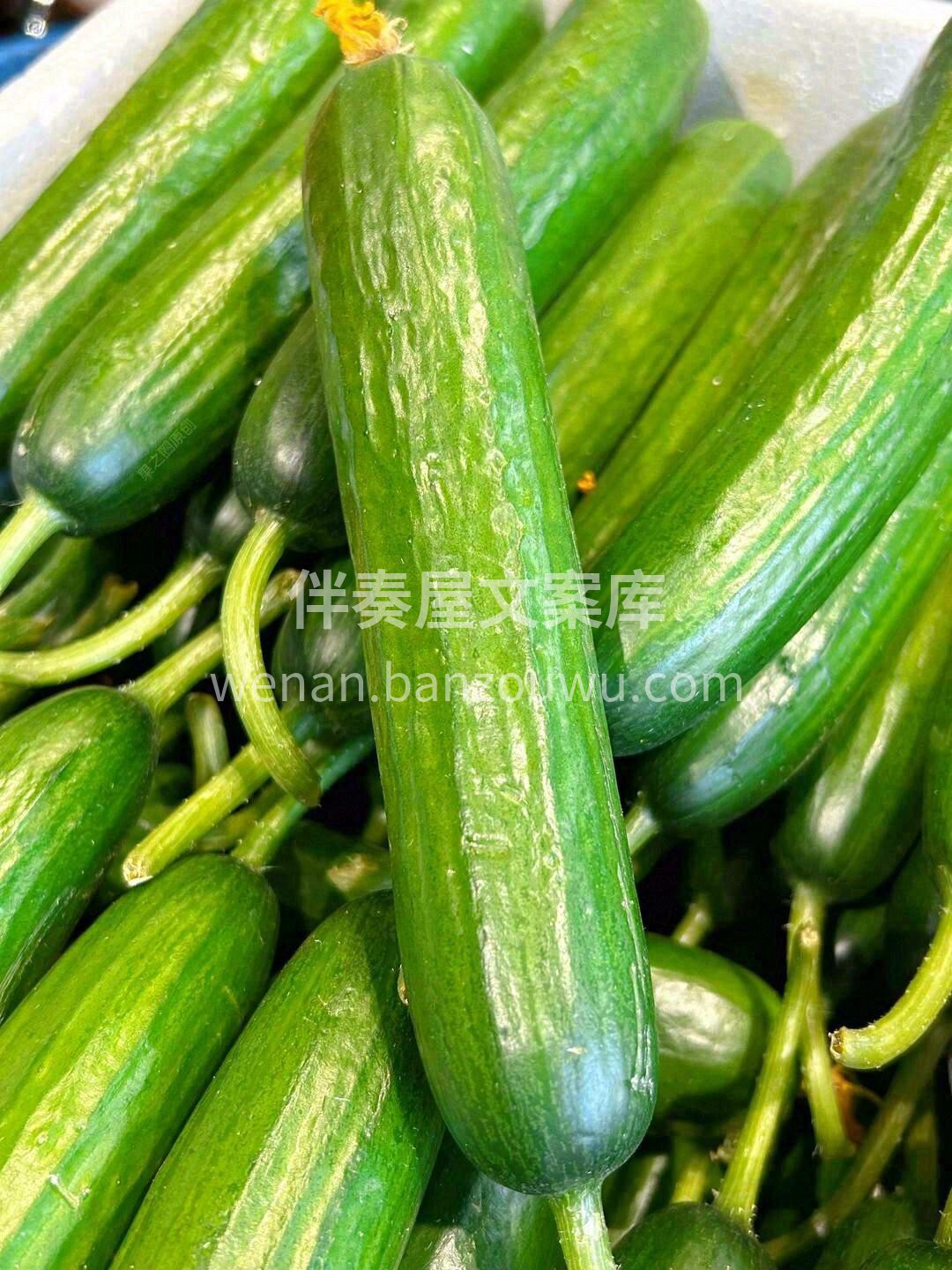 🌱初夏就是要吃水润爽口的食物呀❗ 水果黄 配图2