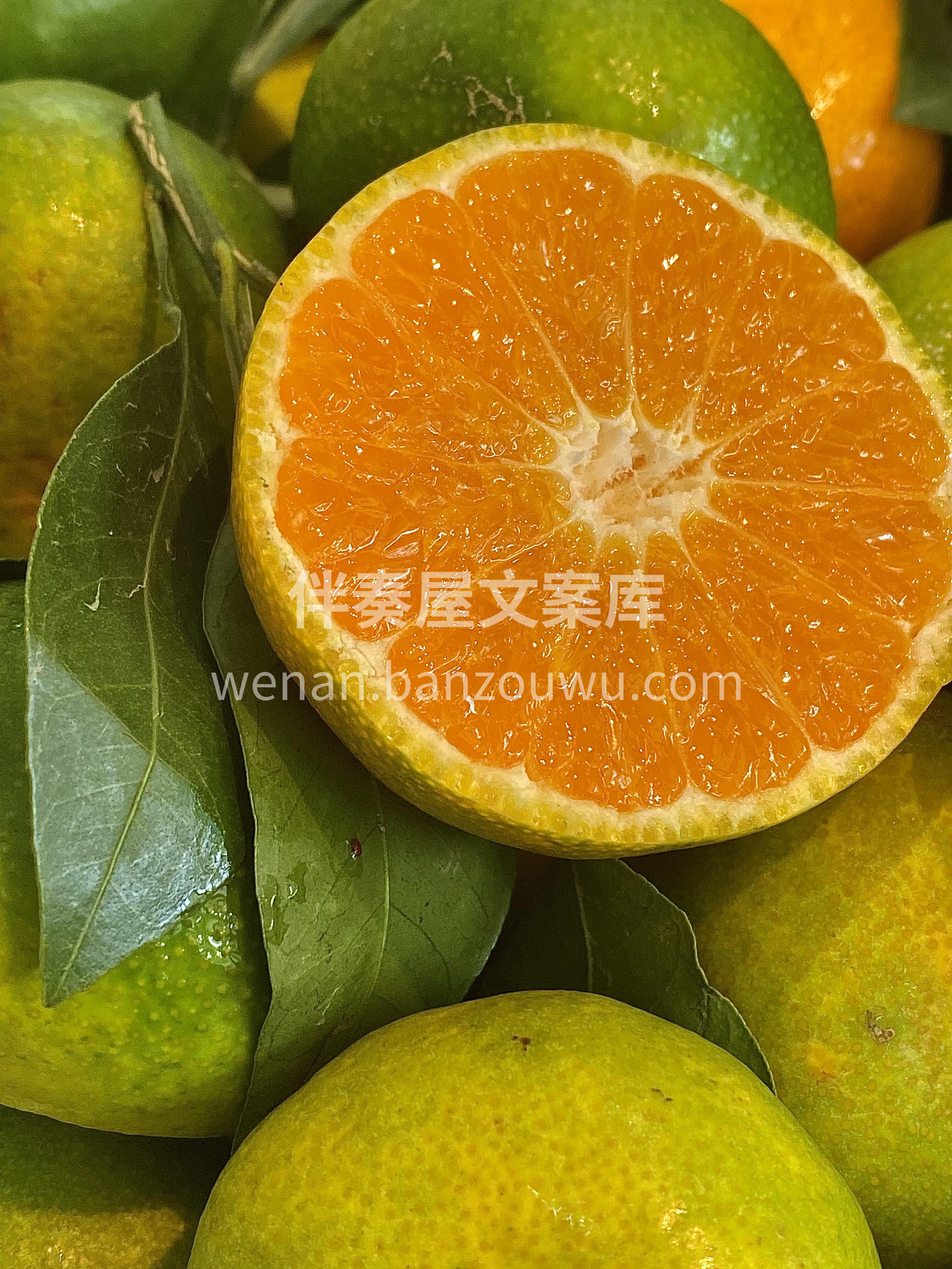 云南蜜橘🍊 皮超薄，水多肉嫩不酸❗️口感 配图2
