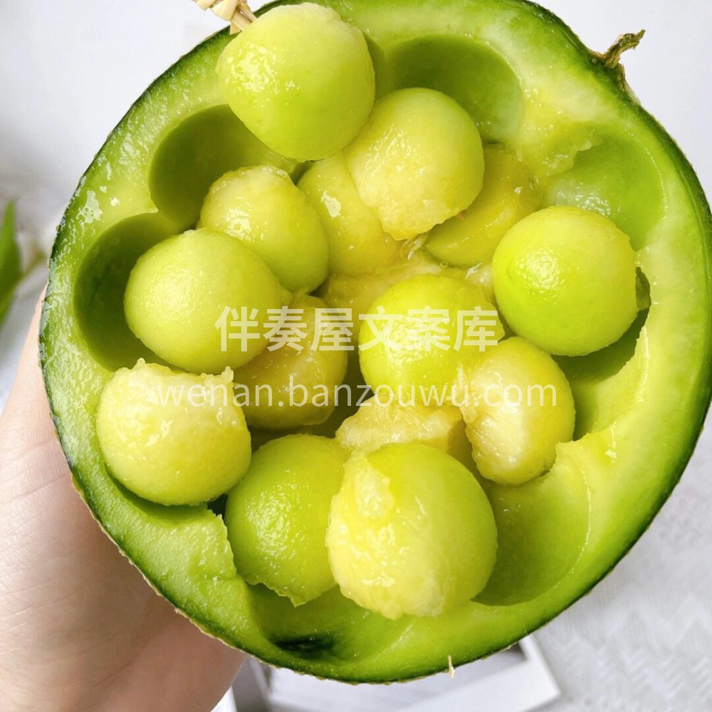 ?海南网纹瓜??犹如树上的“冰淇淋”?独 配图1