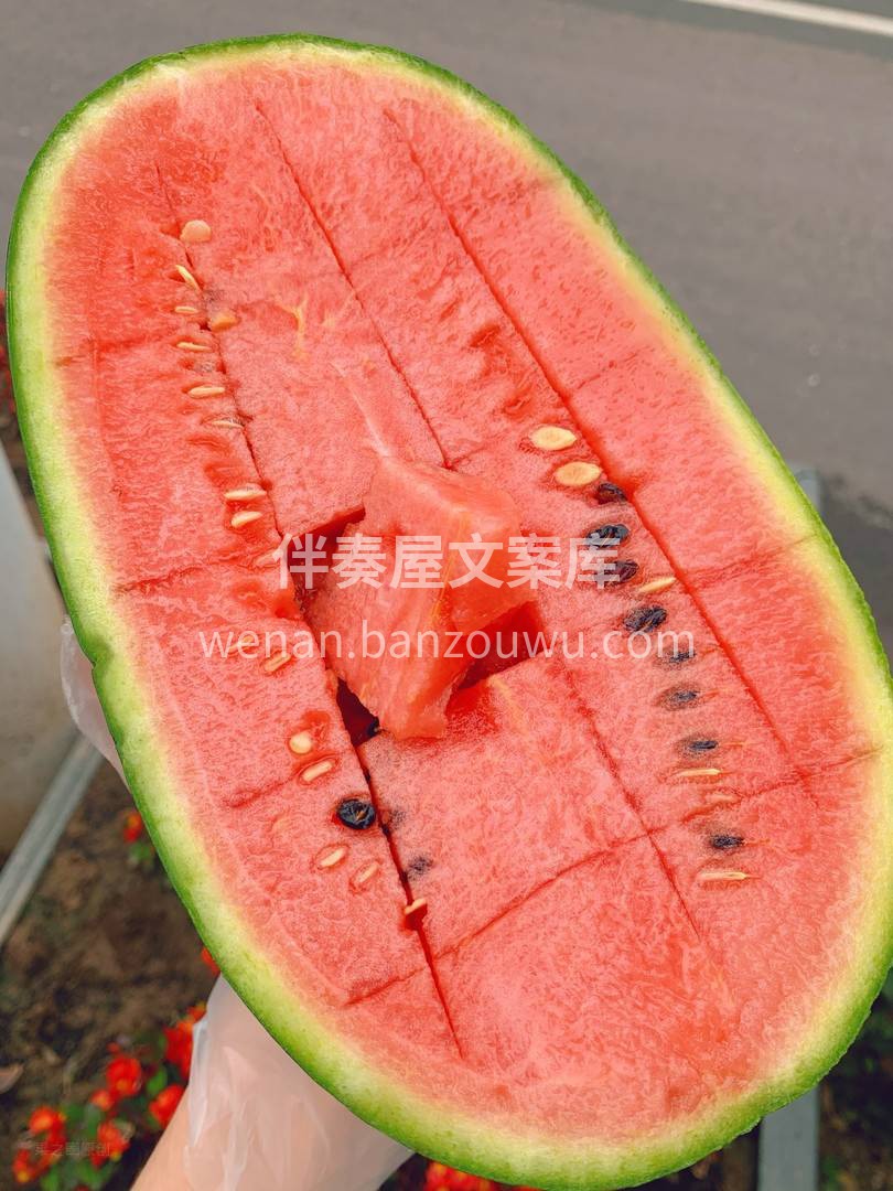 🌿2K小西瓜口感纯正细腻 瓜香四溢🍉，宛 配图1