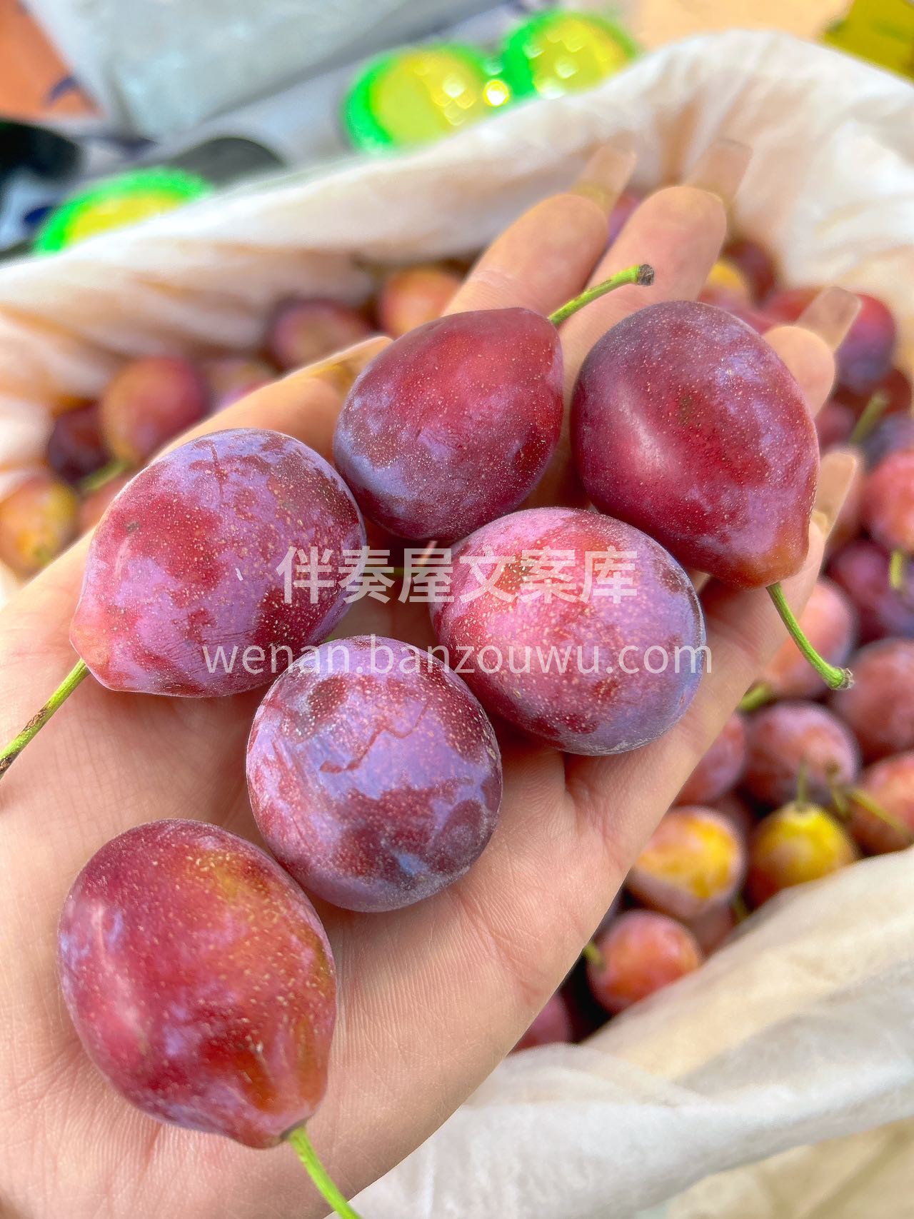 女神果🥰，肠道的保护卫士，新疆喀什西梅， 配图2