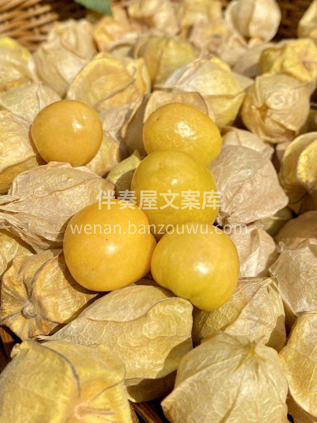 🈺水果店营业の日常 吃一口🍊心情阴转晴☀️ 快乐密码就藏在水 配图6