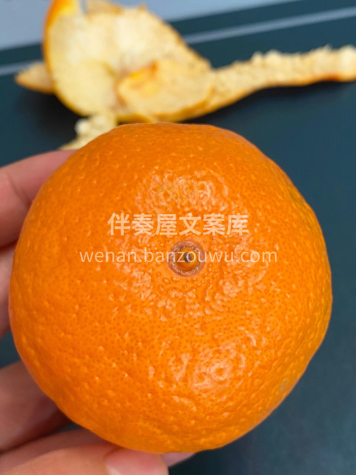 涌泉蜜桔上市了🍊孕妈妈小孩放心吃😋 现在 配图3