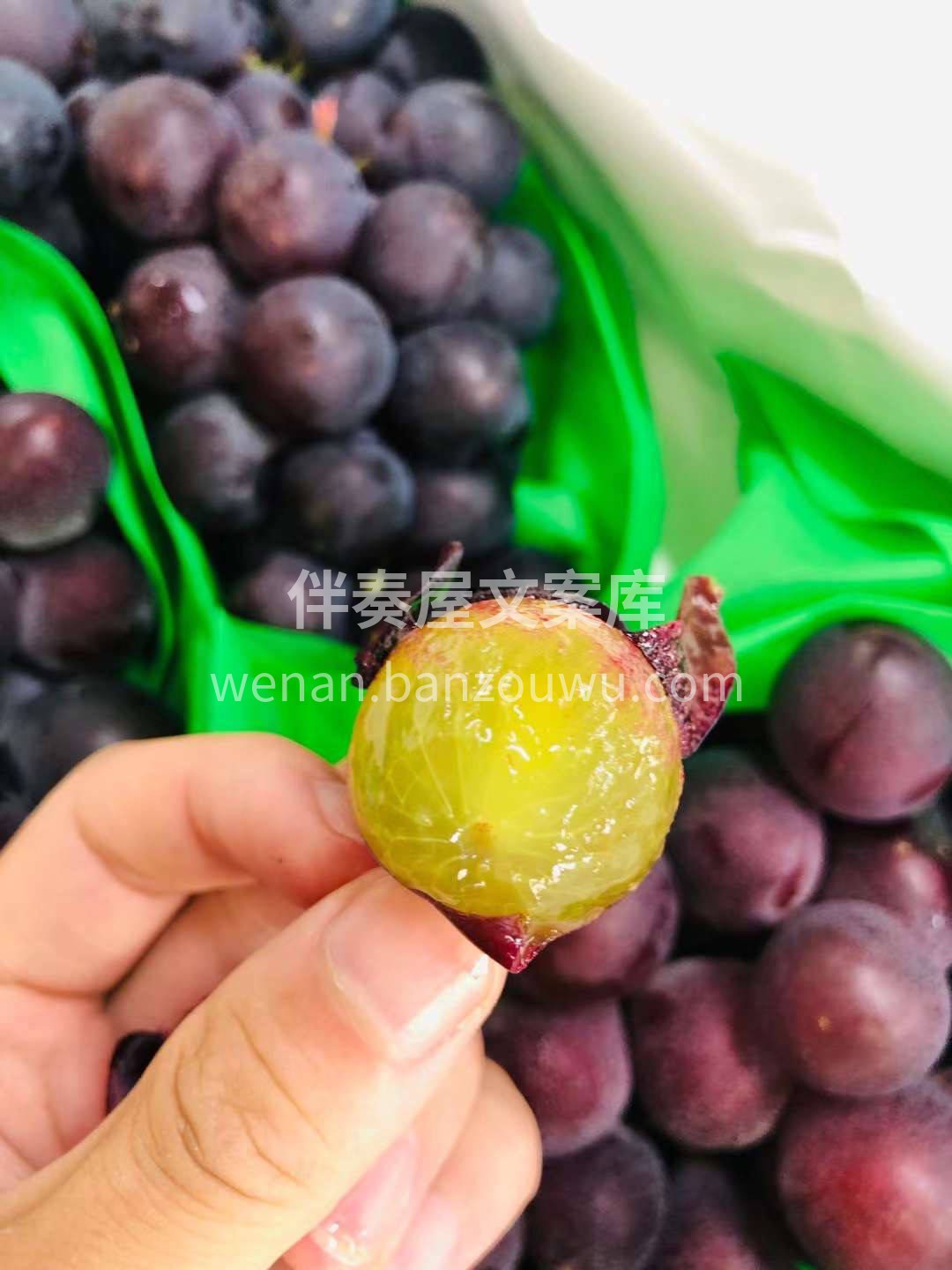 漫长又干燥的冬天，它散发着翡翠的光芒🔥， 配图1