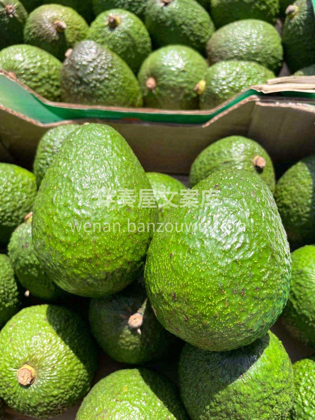 一天一颗牛油果🥑🥑营养超全面 喜欢牛油果 配图2