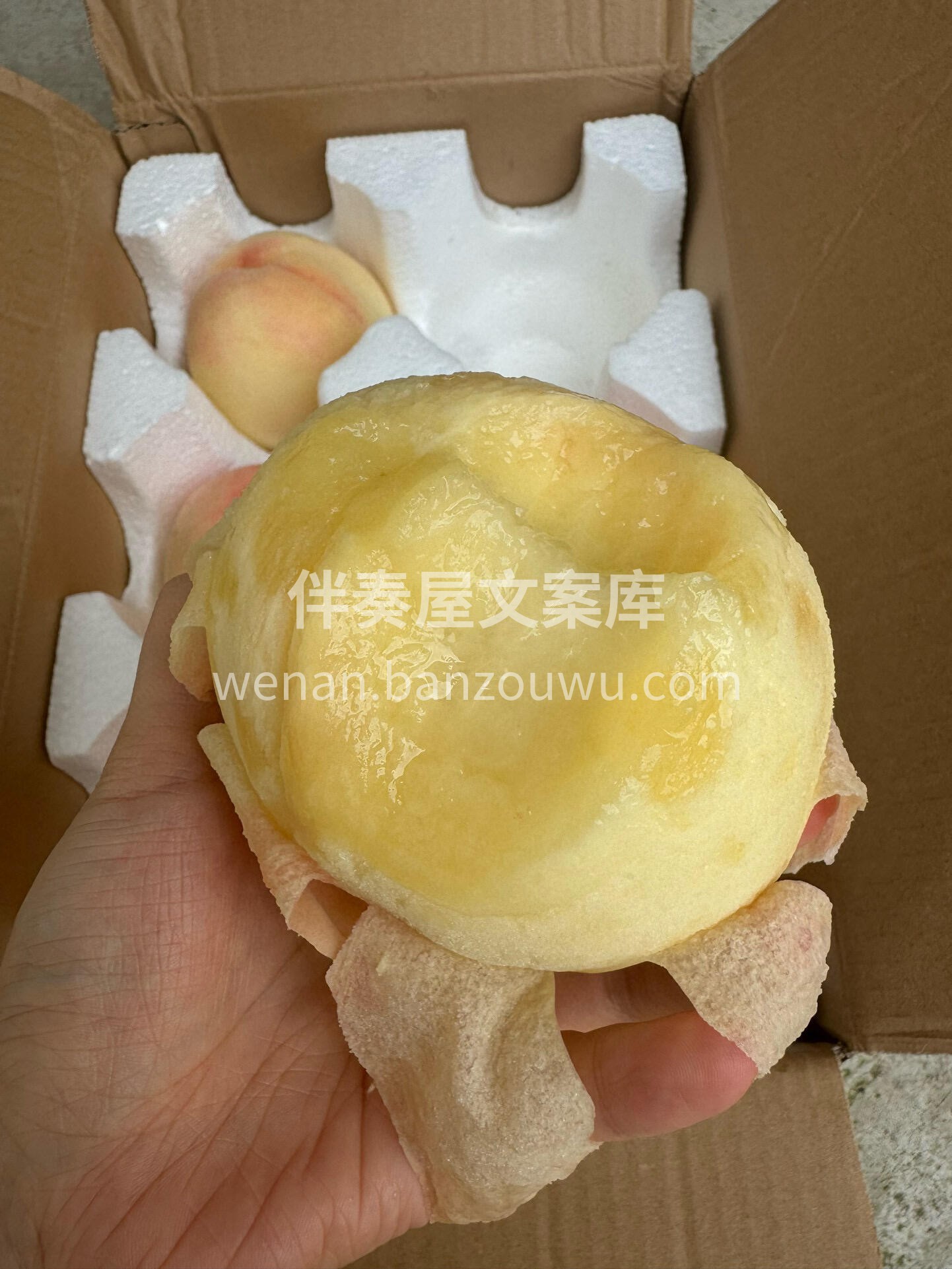🔆一口阳山水蜜桃🍑 果香充斥整个口腔，心 配图1