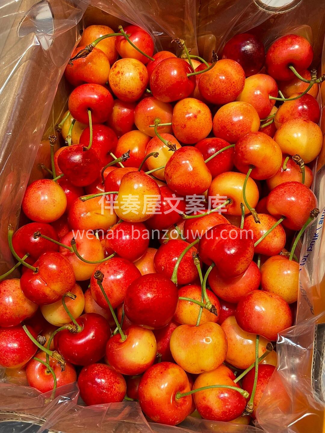 🌟进口黄金车厘子🍒新鲜到货 金色的果实， 配图2