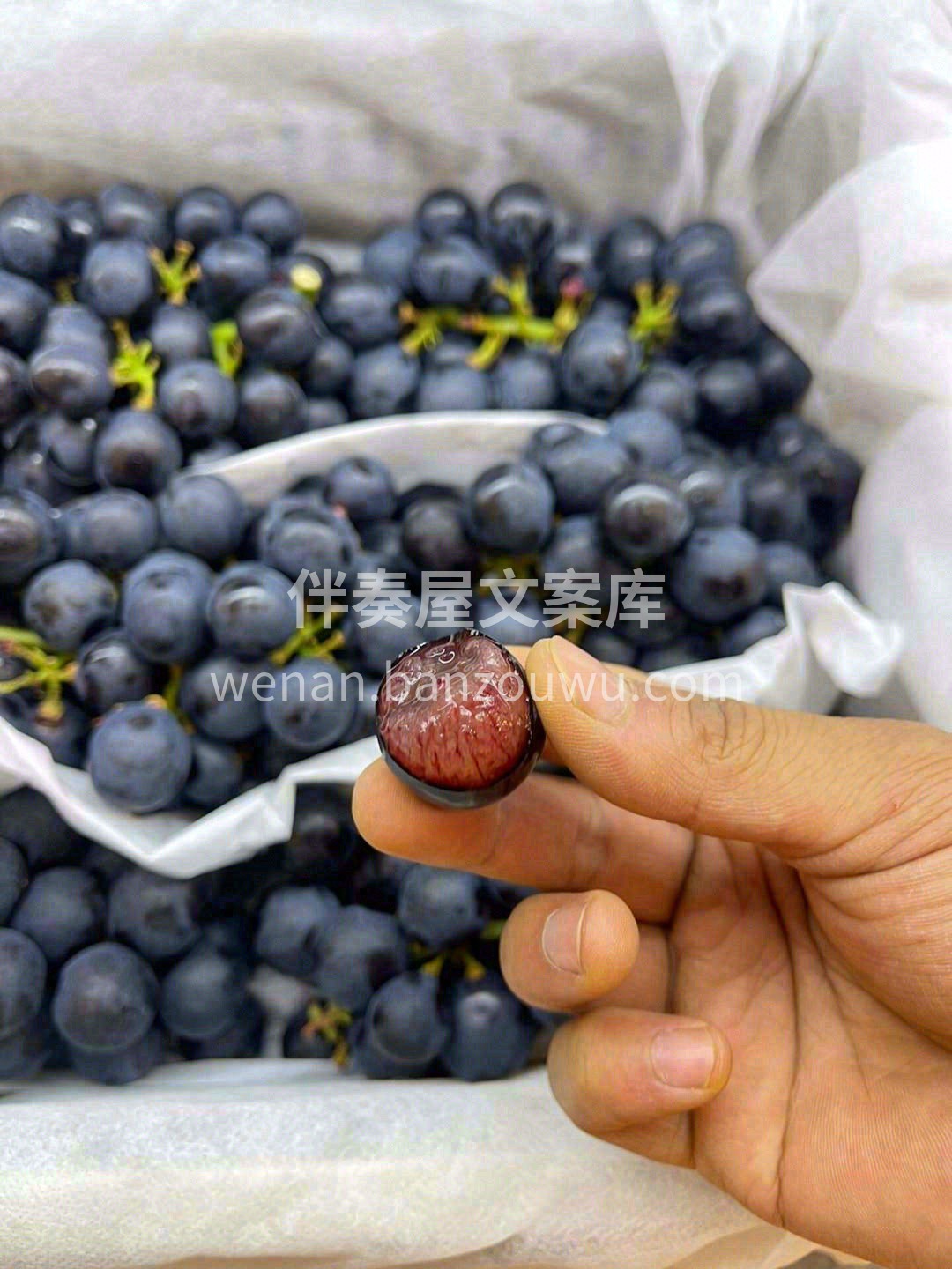 咬下去就像“爆破”了一颗颗🌊水炸弹 香、 配图1