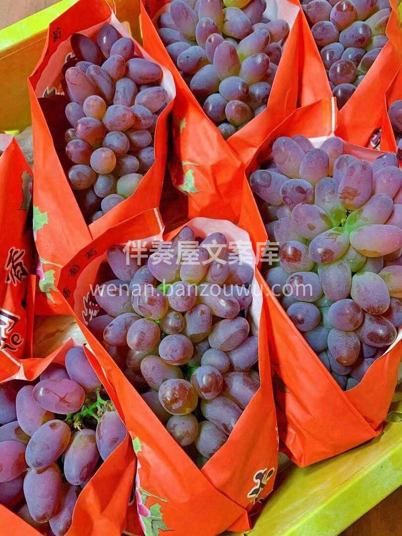 🍇小小的葡萄，大大的营养👍 好葡萄，多汁 配图2