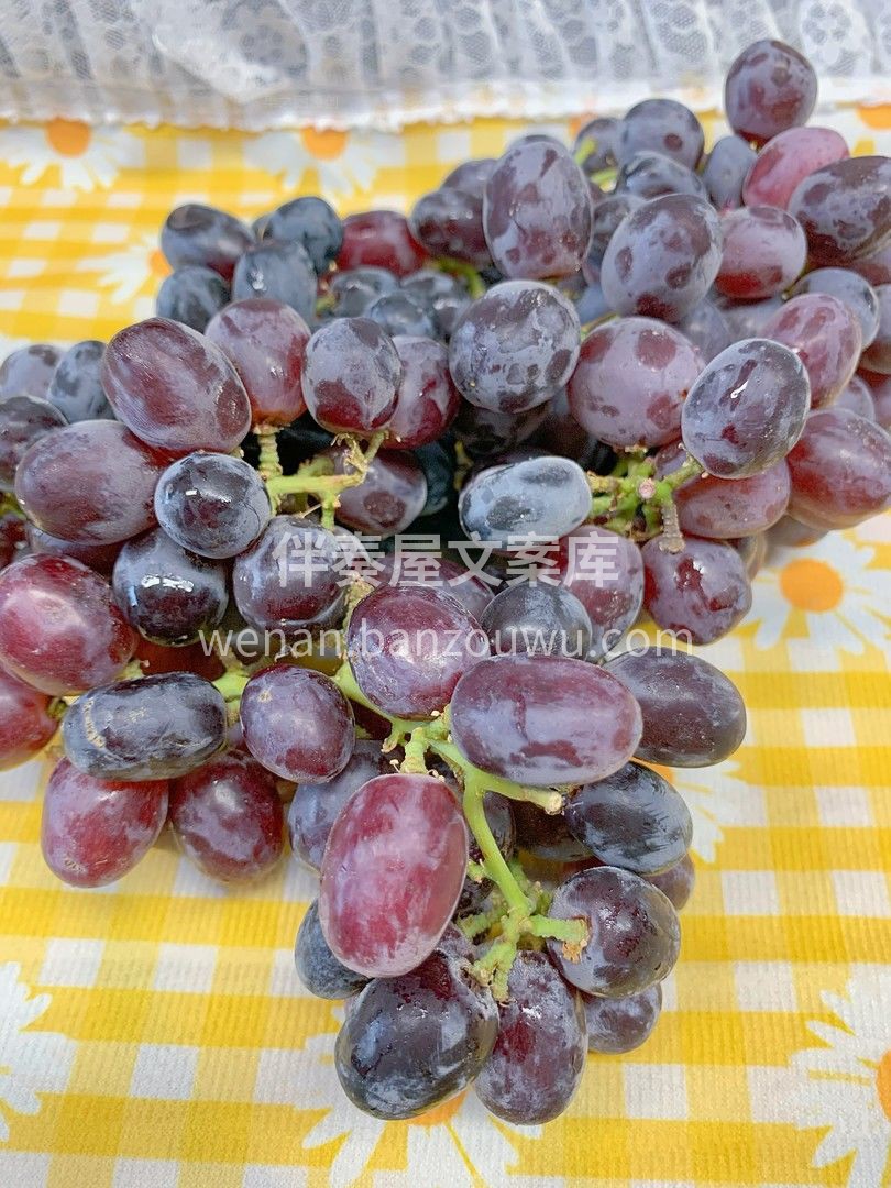 🍇果穗紧凑，果皮红紫色，果皮薄，果肉脆💥 配图3