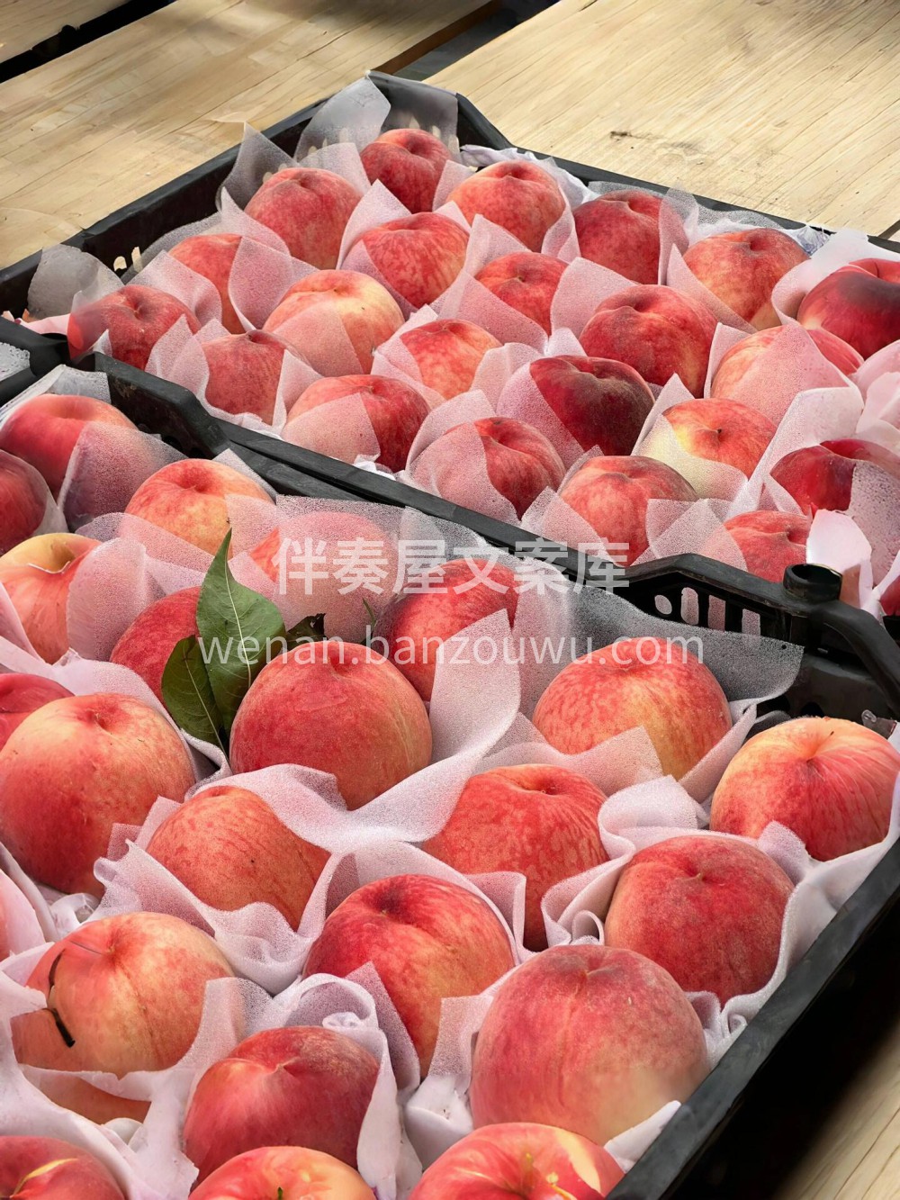 桃子🍑自由，你还不来吗？ 夏日水蜜桃盛宴 配图2