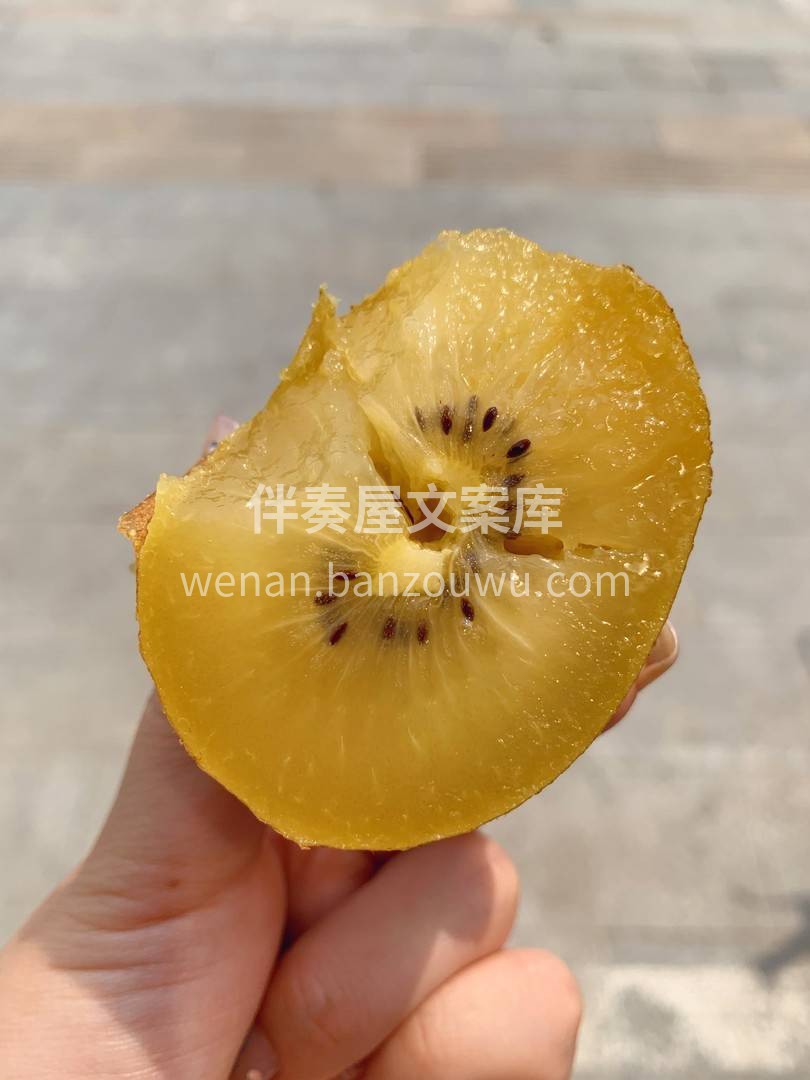 不负一生“绒”装，不负一身珍宝， 椭圆的 配图1