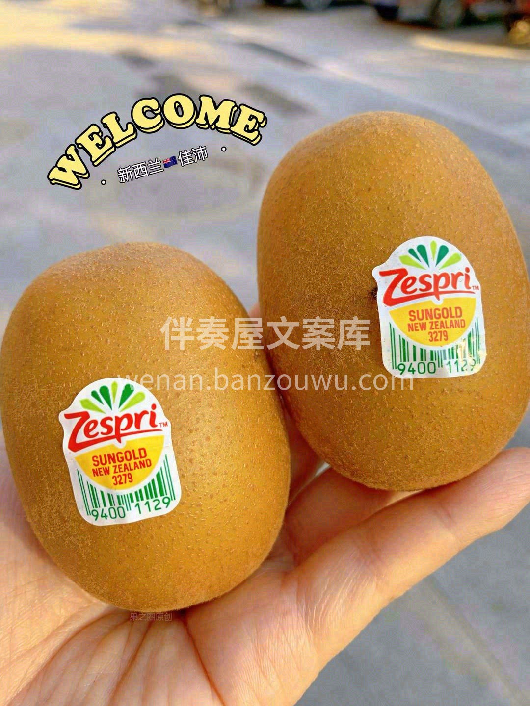 🥝9分甜，1分酸的佳沛奇异果 是被太阳亲 配图3