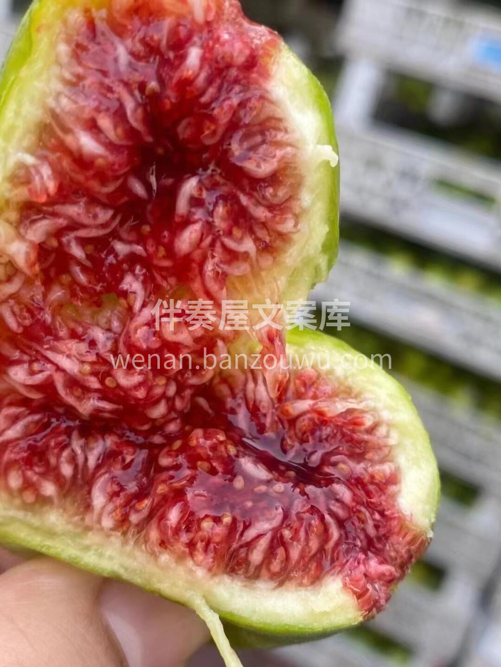 🌸无花果的口感顶峰！越丑越好吃😋一包子糖 配图3