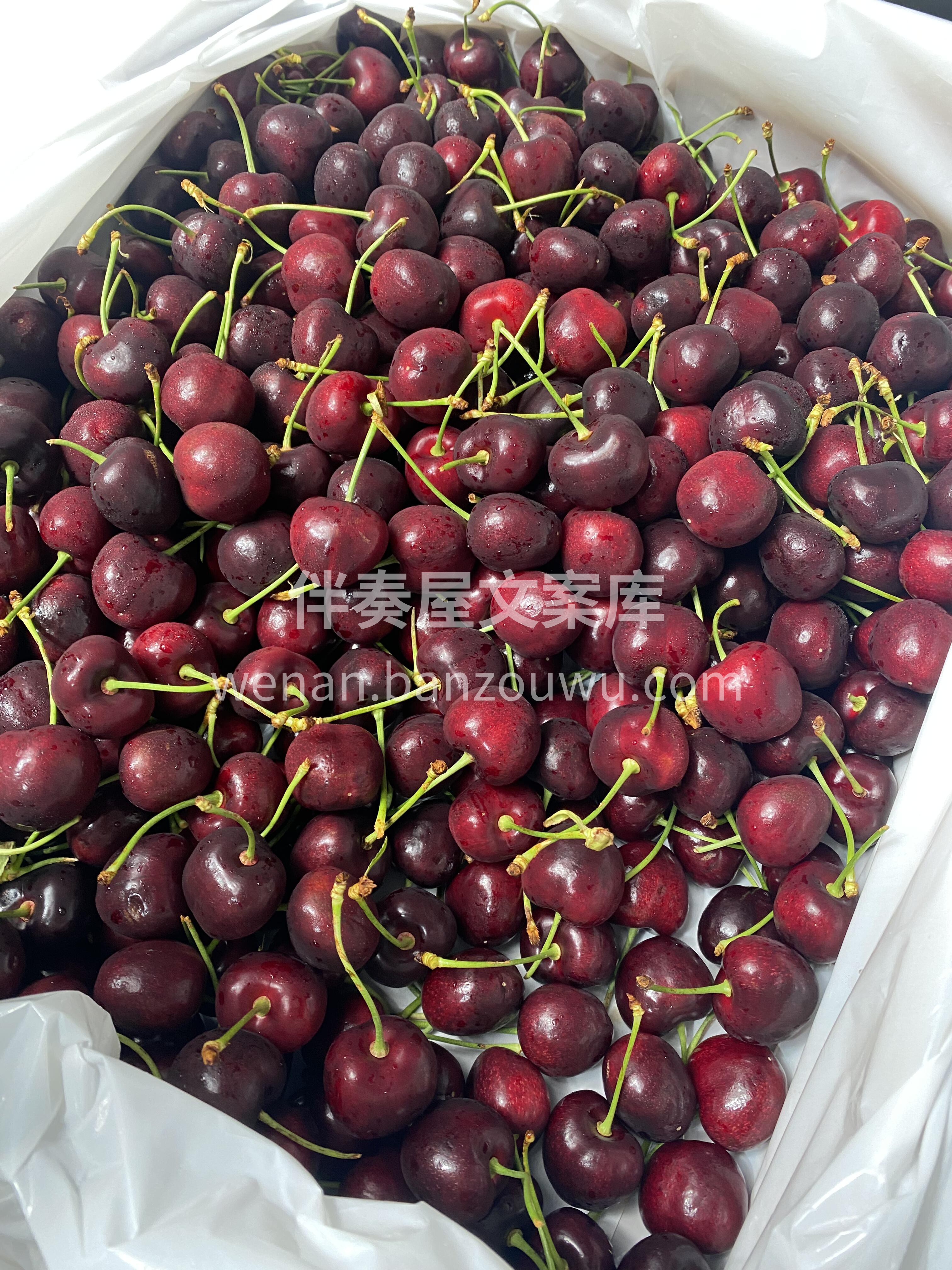 🍒【美国车厘子】新鲜到店‼️ 颜值天花板 配图2