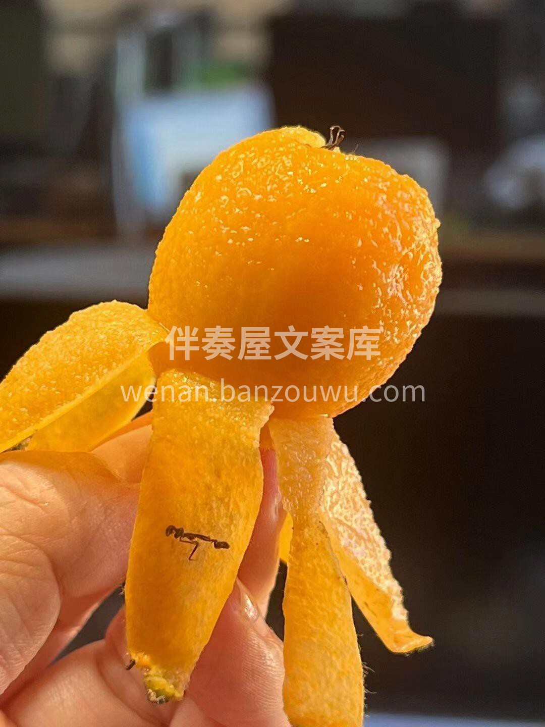 ✨鲜嫩枇杷到货啦！ 金黄果皮，果肉柔软多 配图1