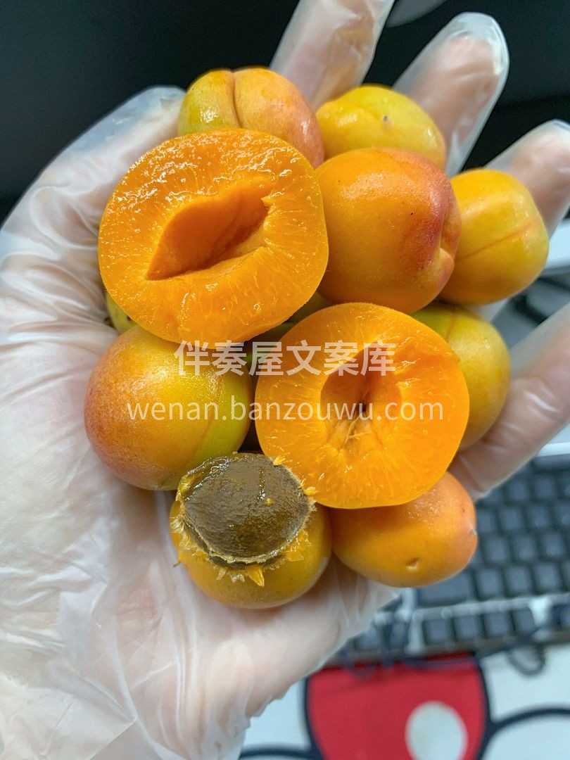 不要与她擦肩而过哦！ 厚实的果肉有高达2 配图2