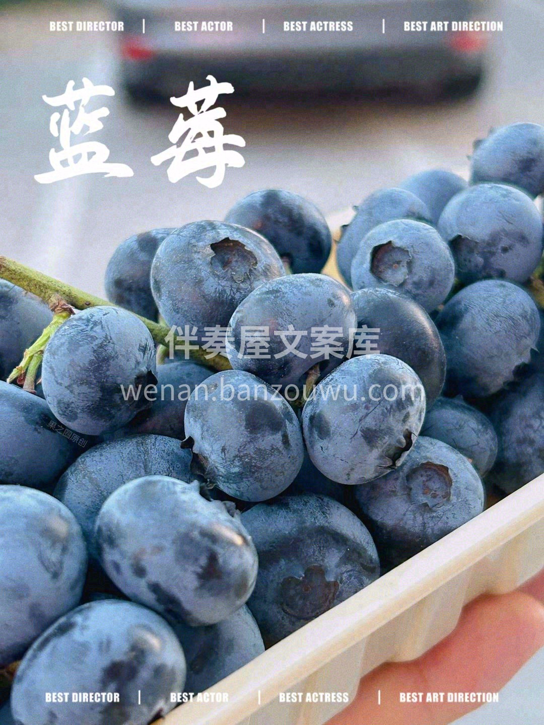 🐝蜜蜂授粉，清晨伴着露水采摘，每一串都是 配图2