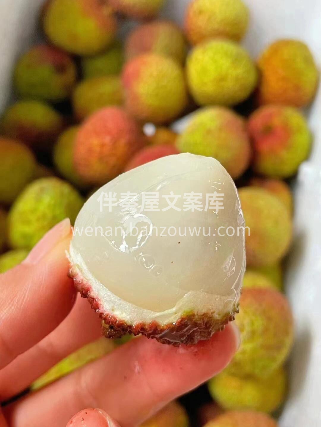 五月夏风来🌿🌿 迎头荔枝香💓💓 又到了荔 配图3