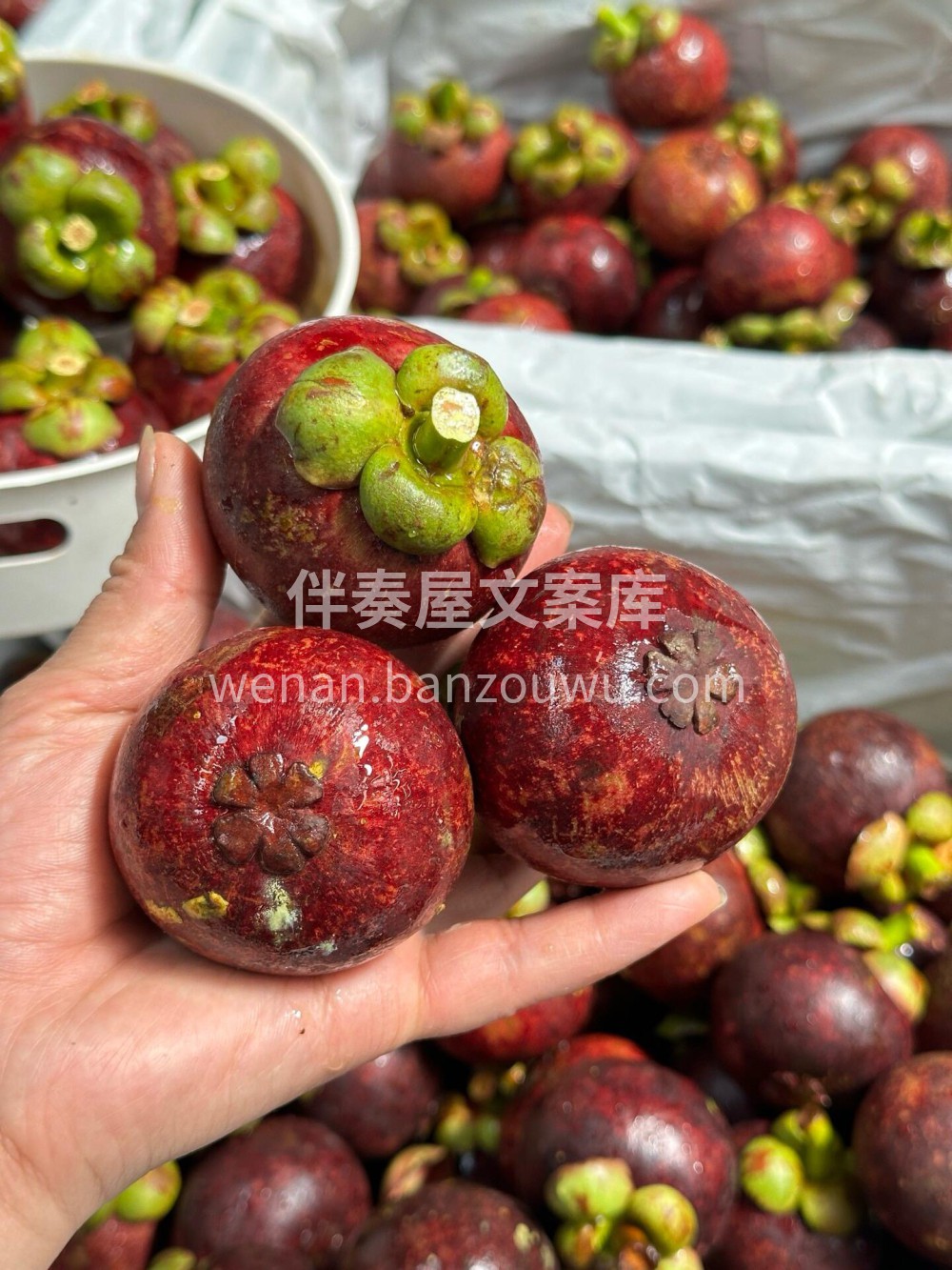 好甜好甜的山竹果🍑嗓子不舒服 内外各种上 配图1