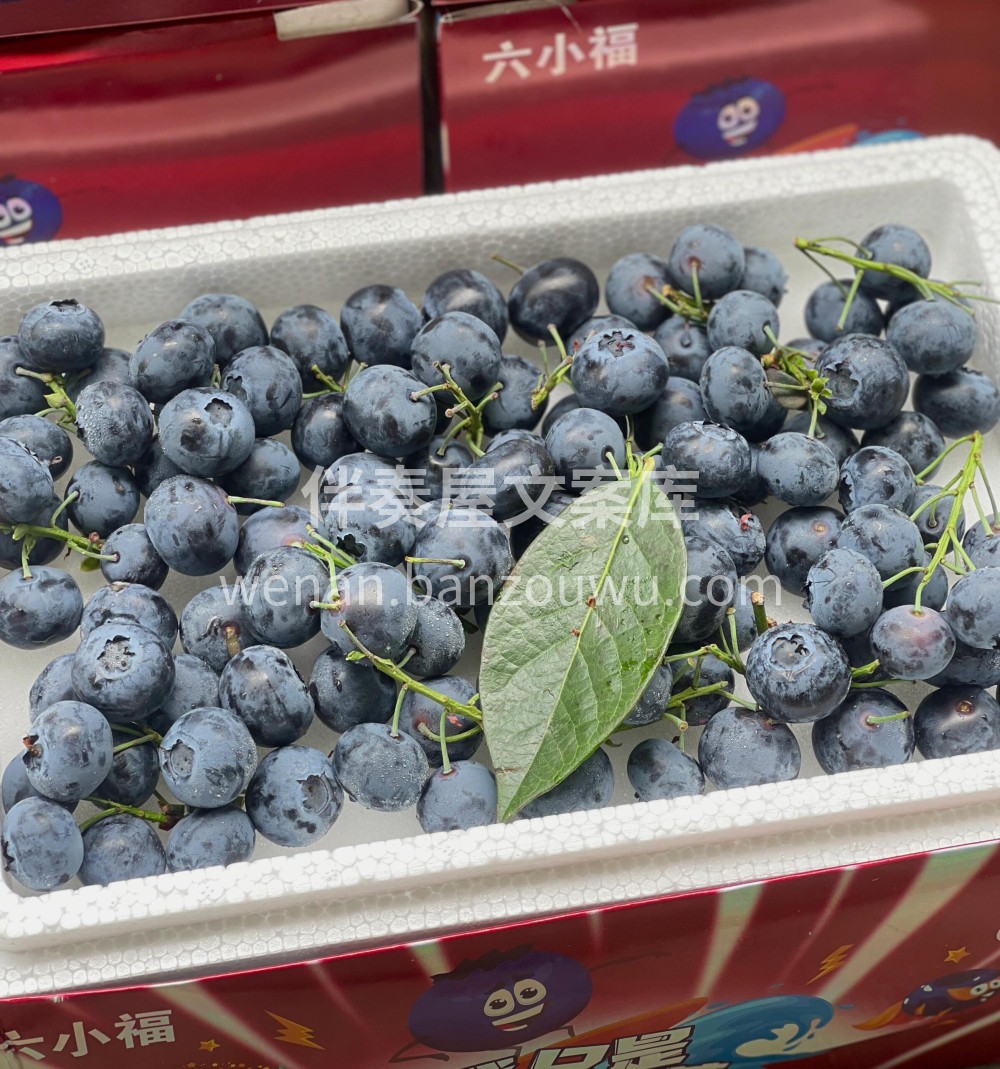 这大蓝莓我真的爱了，口感真好😋现在的蓝莓 配图1