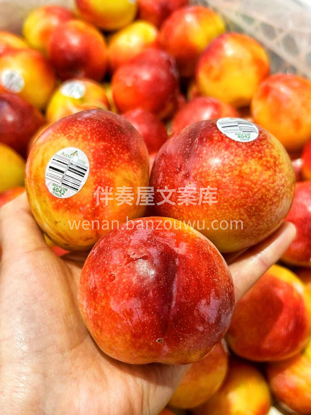 智利珠宝李来了‼️号称“最抗衰老的水果” 配图2