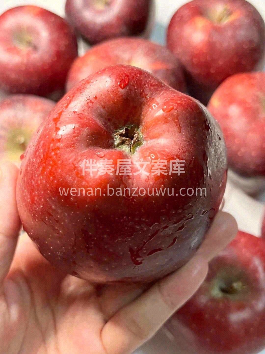 颜值控是不是已经醉倒😍 花牛苹果确实很漂 配图1