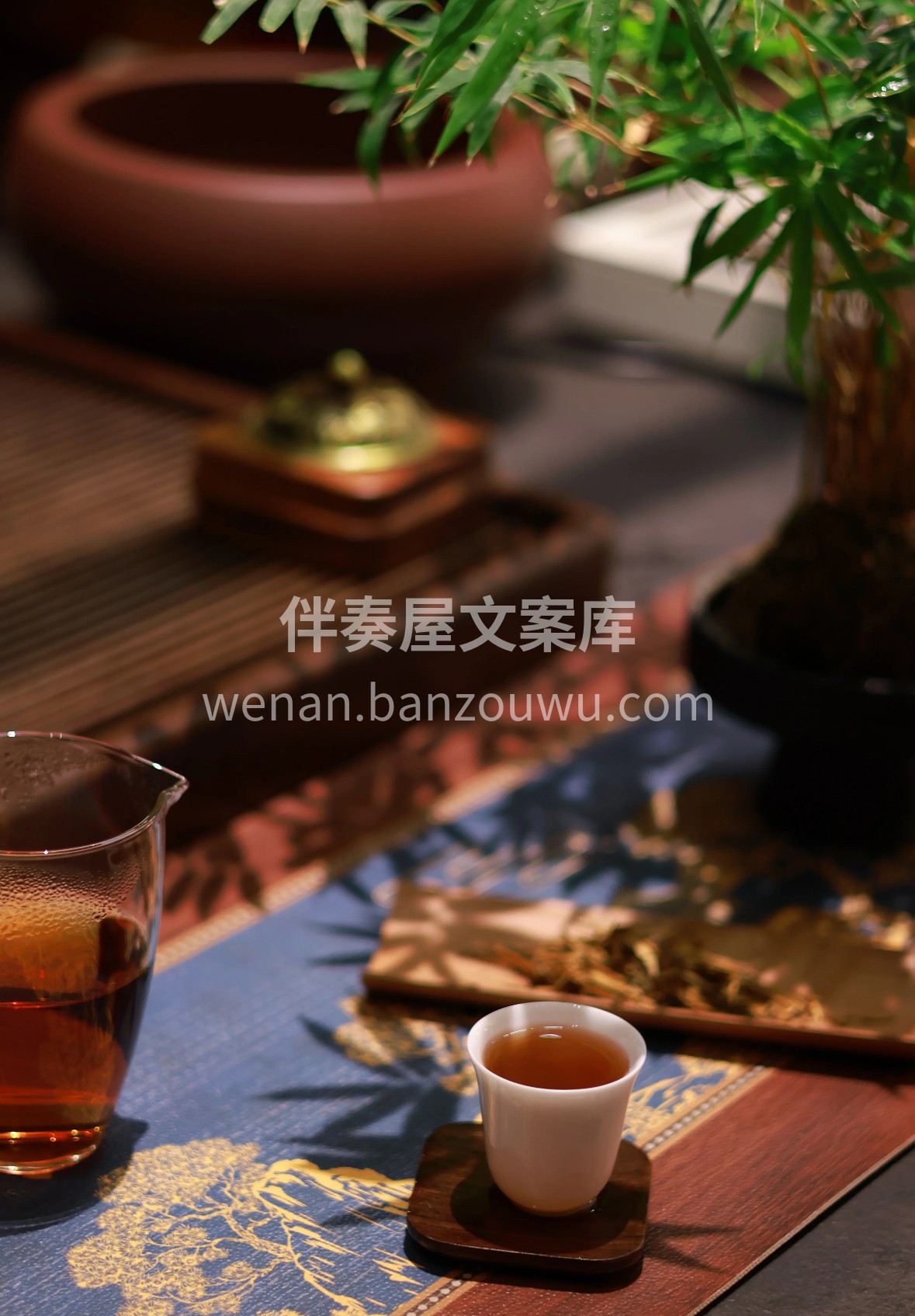 一盏川红，氤氲着蜀地的暖阳与山岚。汤色红 配图3
